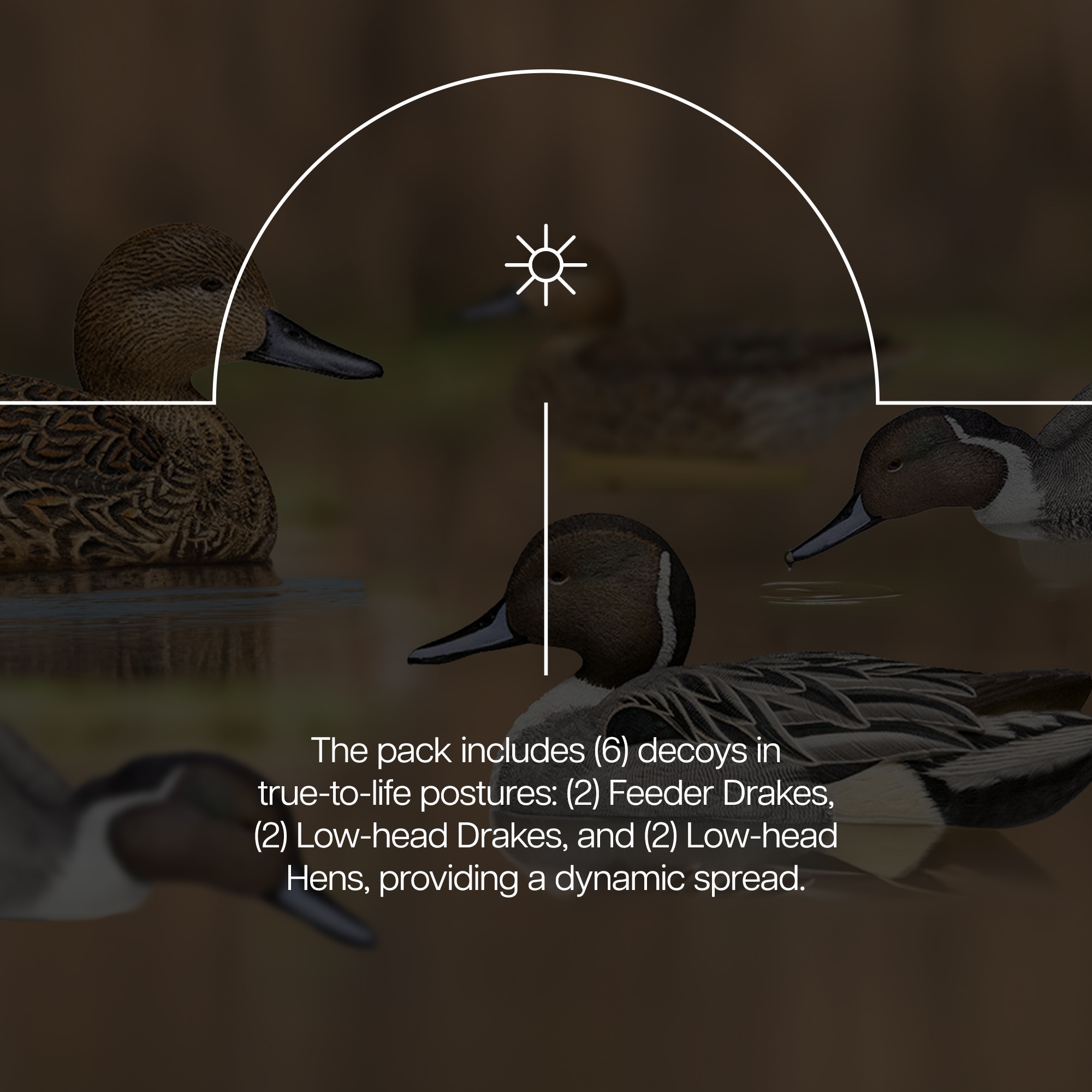  Avian X 399269 Hunting-Equipment - View #4