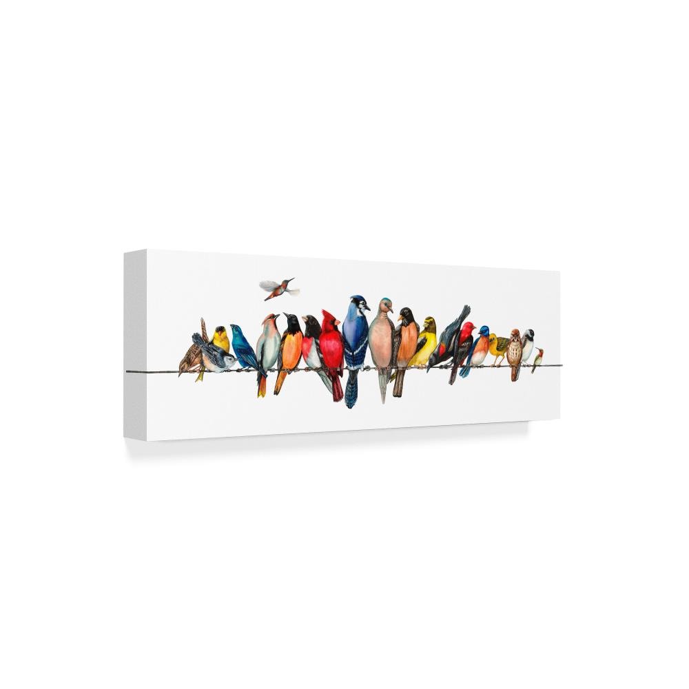 Colorful Tropical Birds on Wire Canvas Print, 8x24 Inch