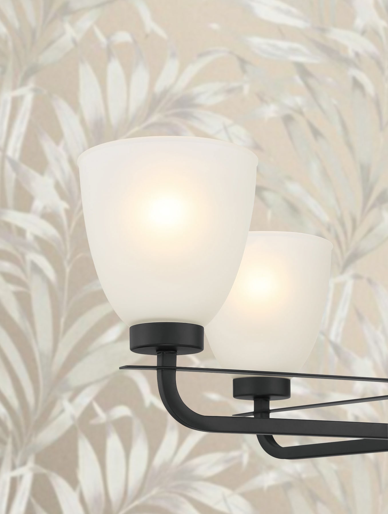 Mini Coal Black 5-Light Chandelier with Etched Glass Shade