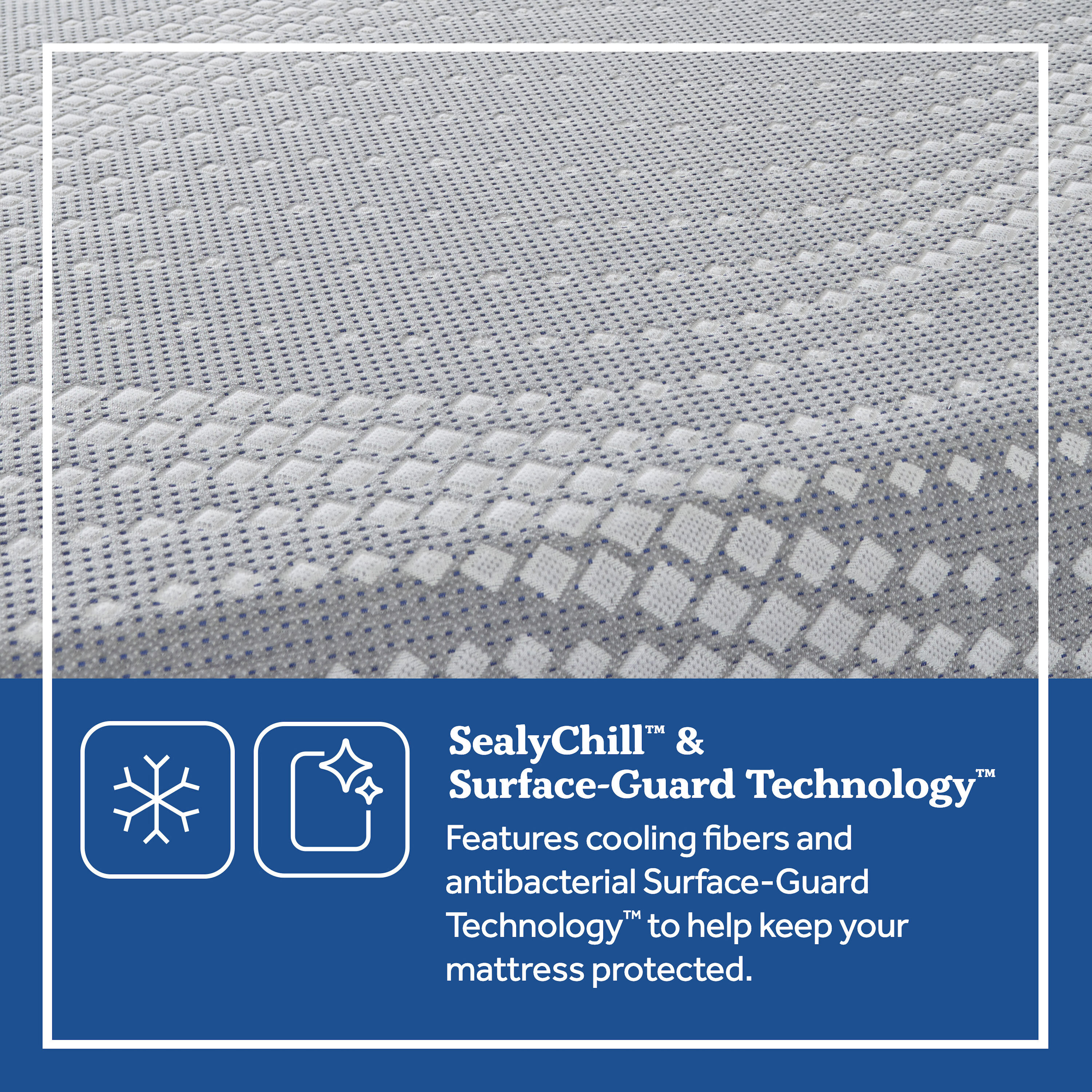 Sealy 10224131 Mattresses-Boxsprings - View #5