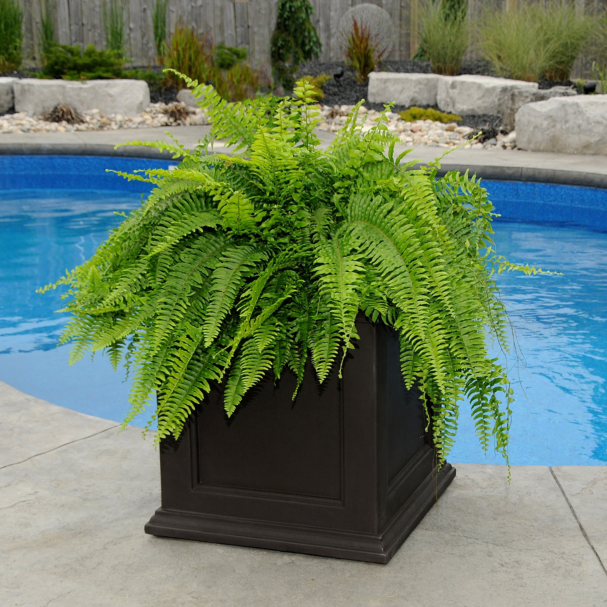 Mayne 5825-ES Planter-Window-Box - View #10