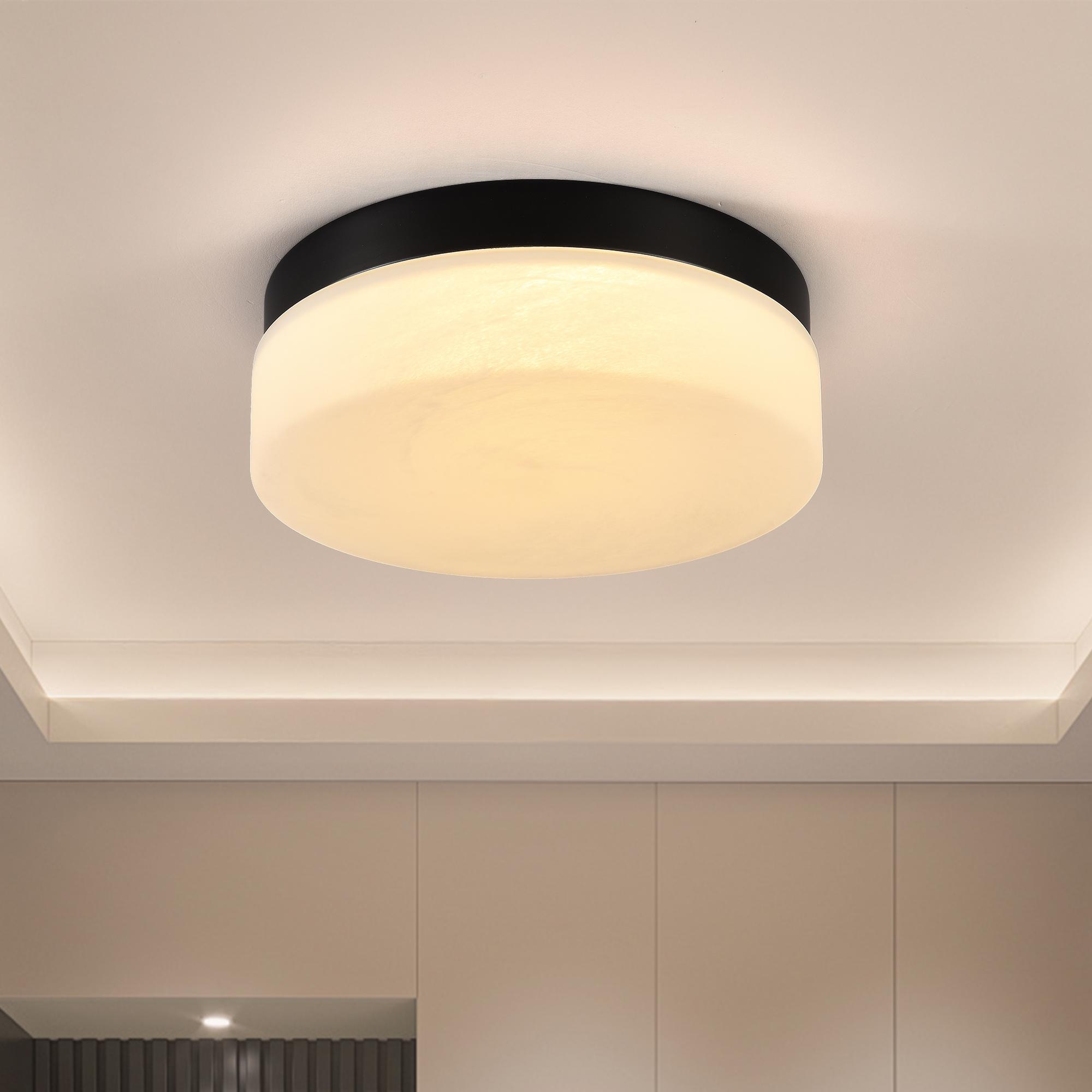 Bayfeve 12 Inch Black Dimmable LED Flush Mount Ceiling Light