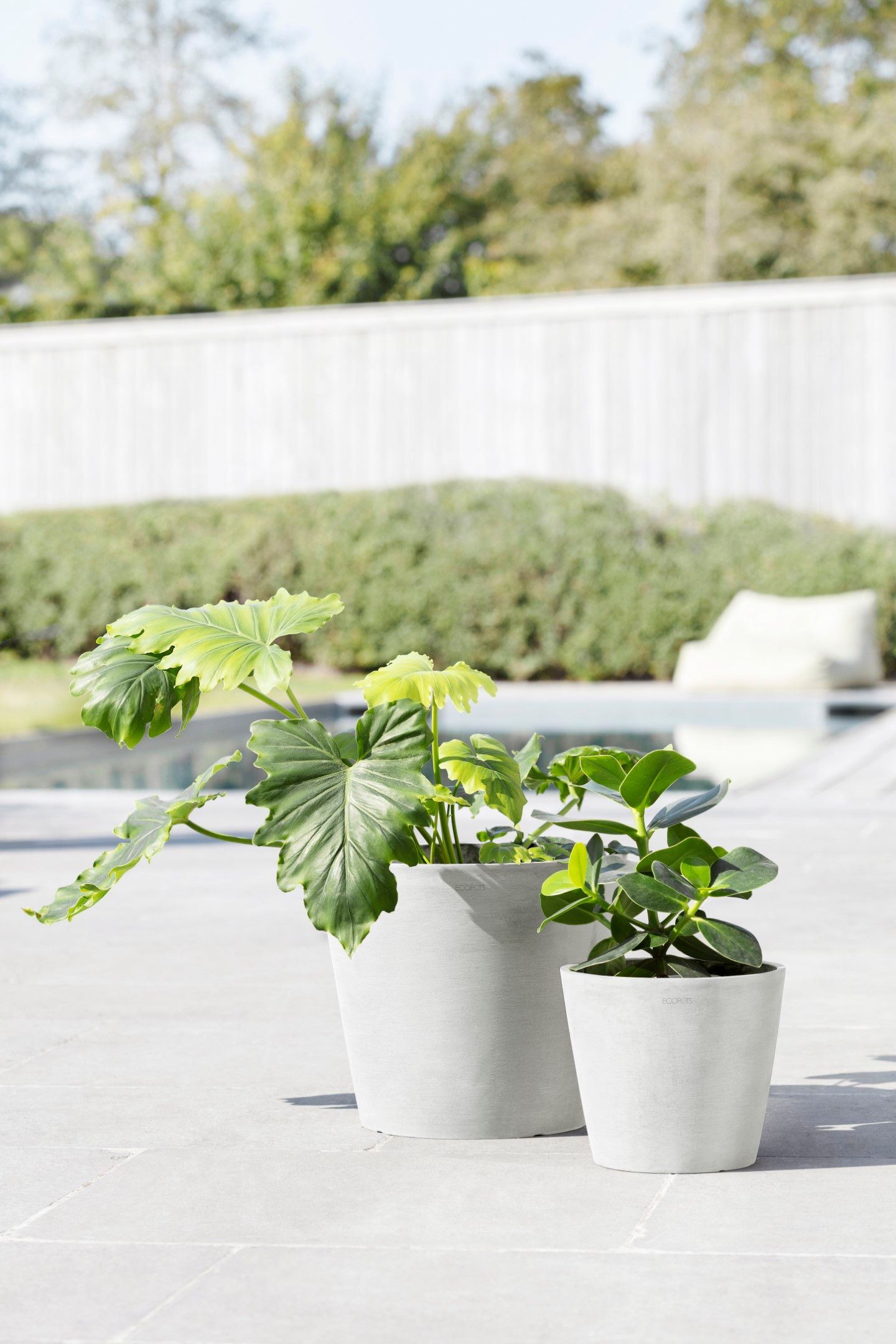 ECOPOTS 5413724329794 Planter-Window-Box - View #4
