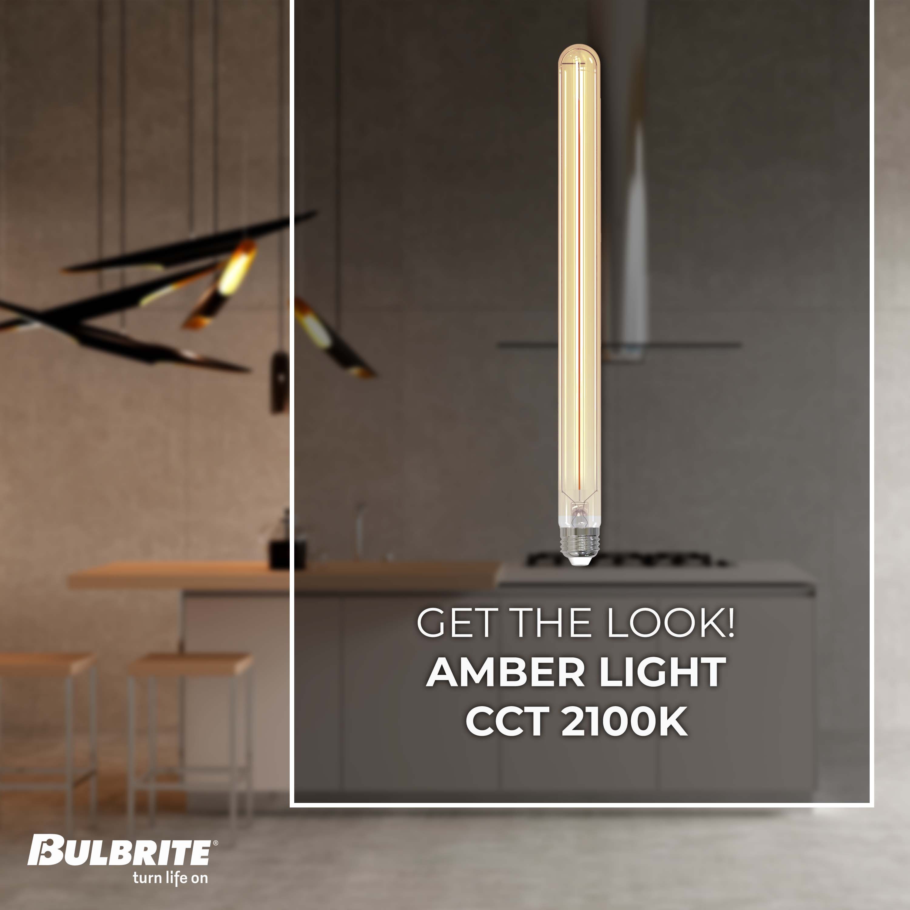 Bulbrite 862776 Dec-Led-Light-Bulbs - View #2