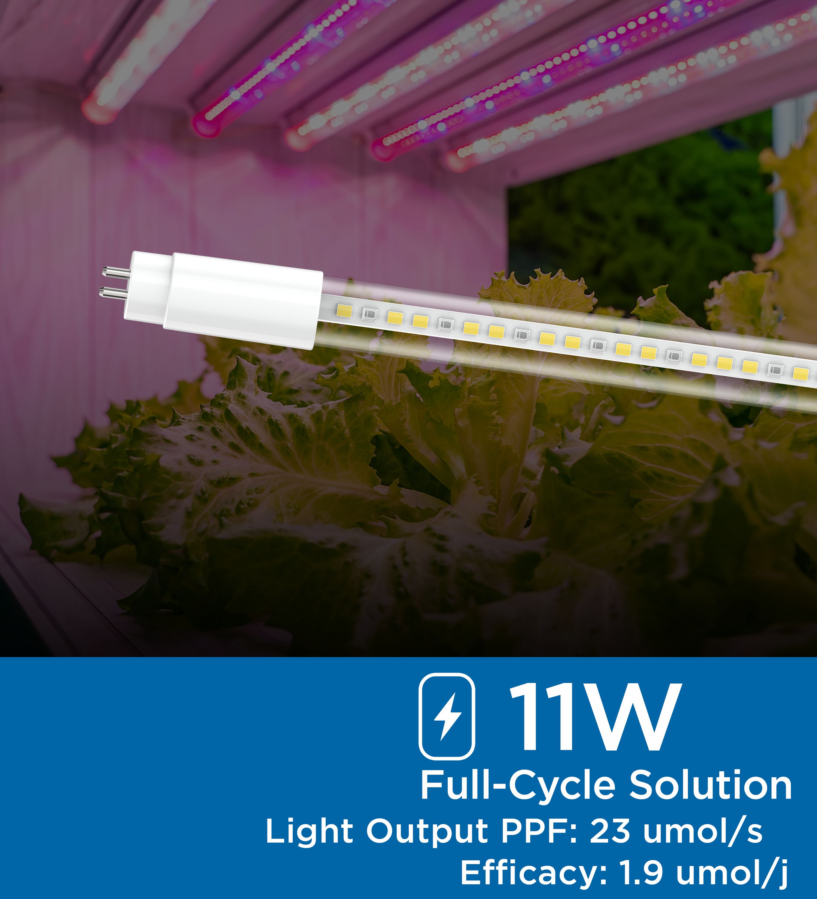 Viribright Lighting 290105 Led-Tube-Light-Bulbs - View #3