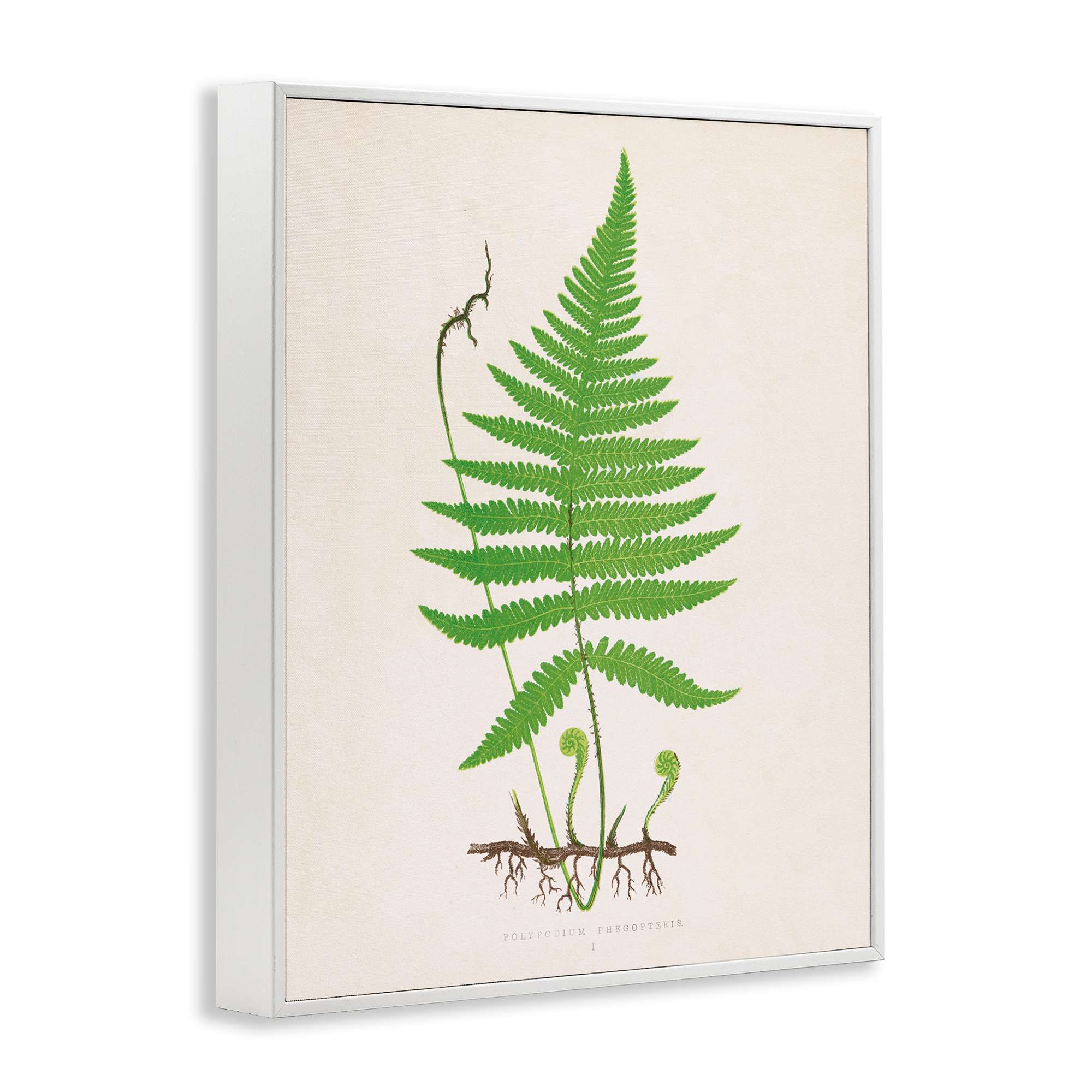 Stupell Industries BT-469-WFR-16X20 Wall-Art - View #2