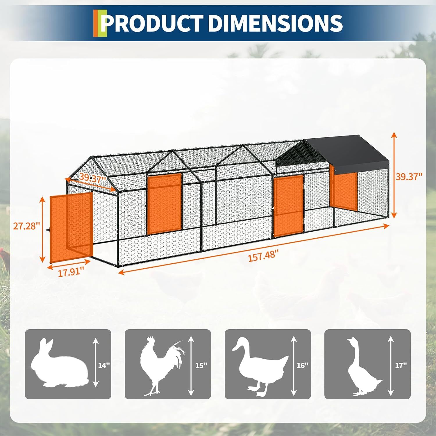 Qeetex GGL-PPG-33EVUAC4 Chicken-Coops-Rabbit-Hutches - View #2