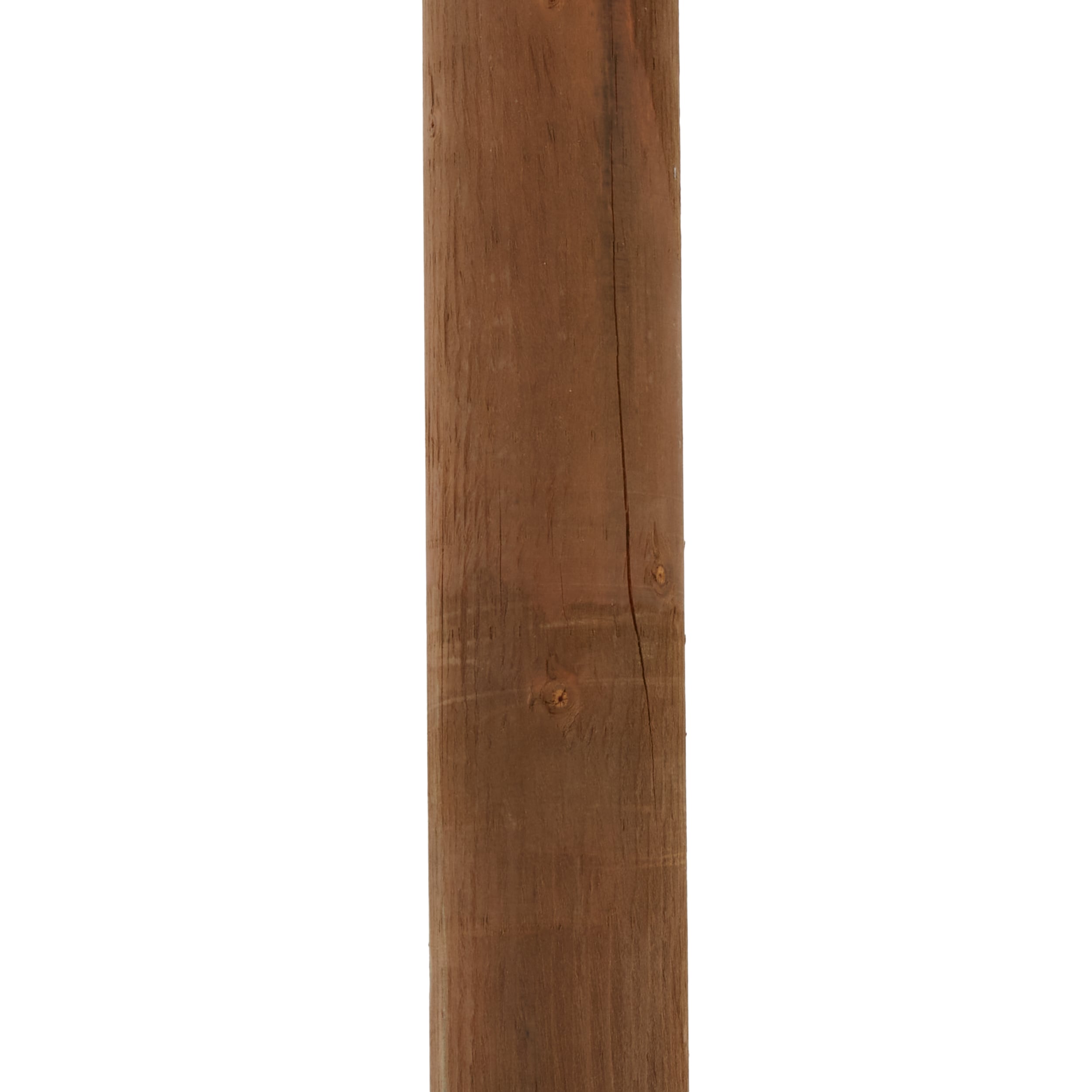 Bamboo Wood (Stake, Pole & Hide) For Vivariums