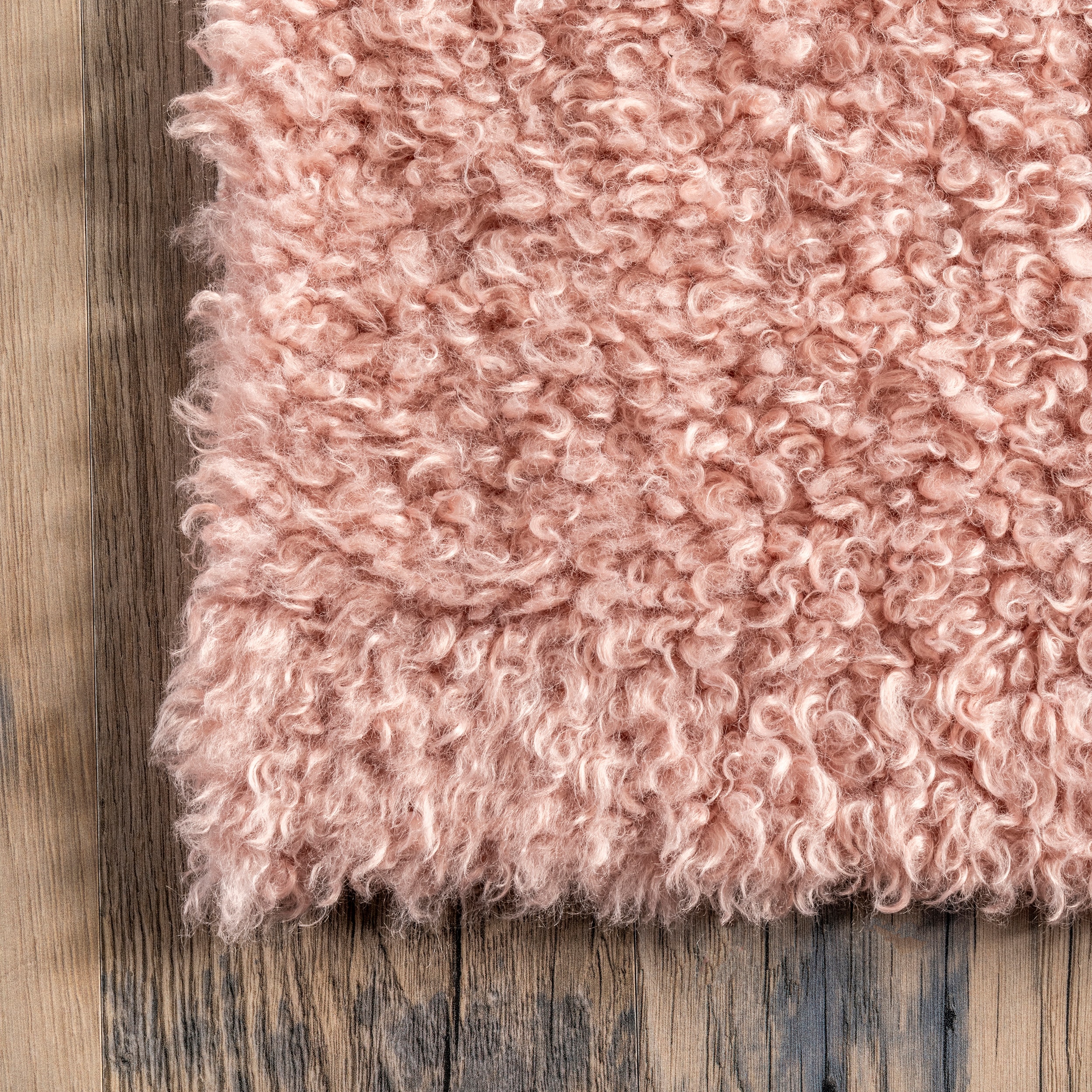 nuLOOM HJWT01C-2608 rugs - View #5