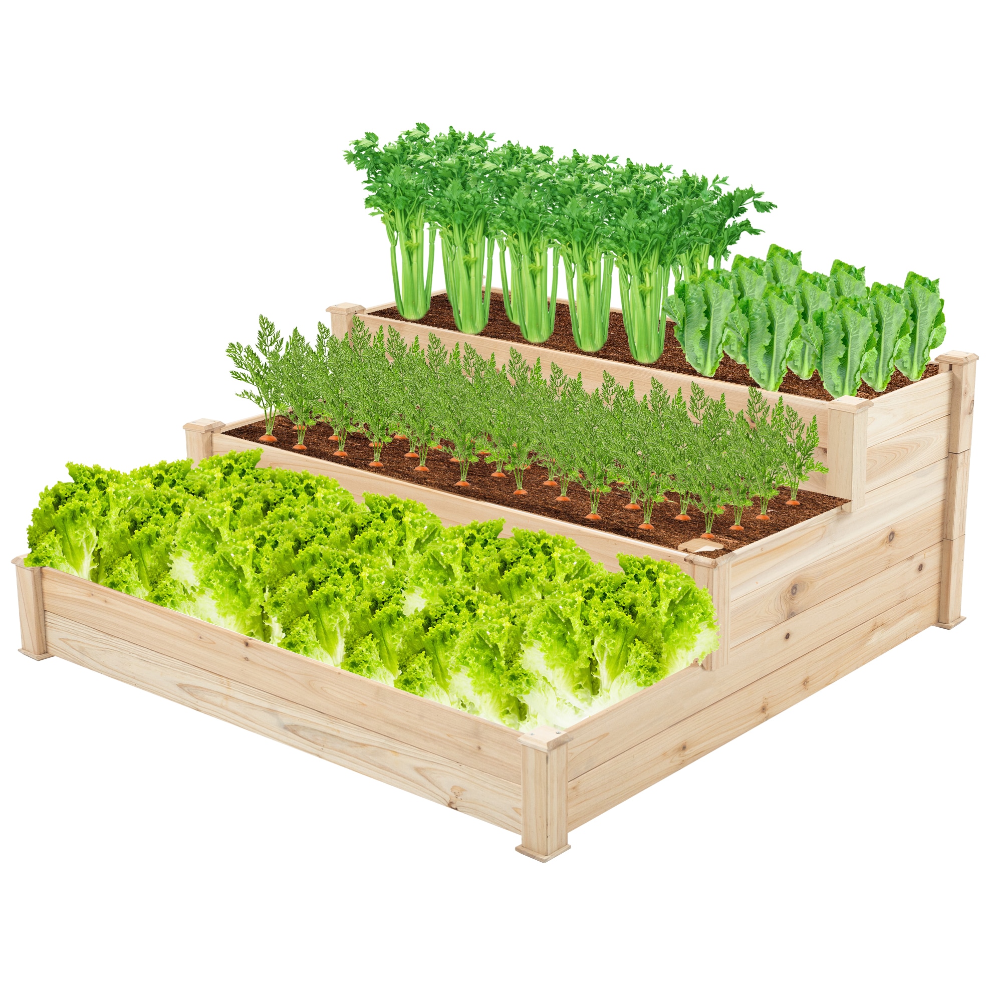 Damerin W273RA 9-cu ft 48.5-in W x 48.5-in L x 20.16-in H Natural Wood Raised Garden Bed