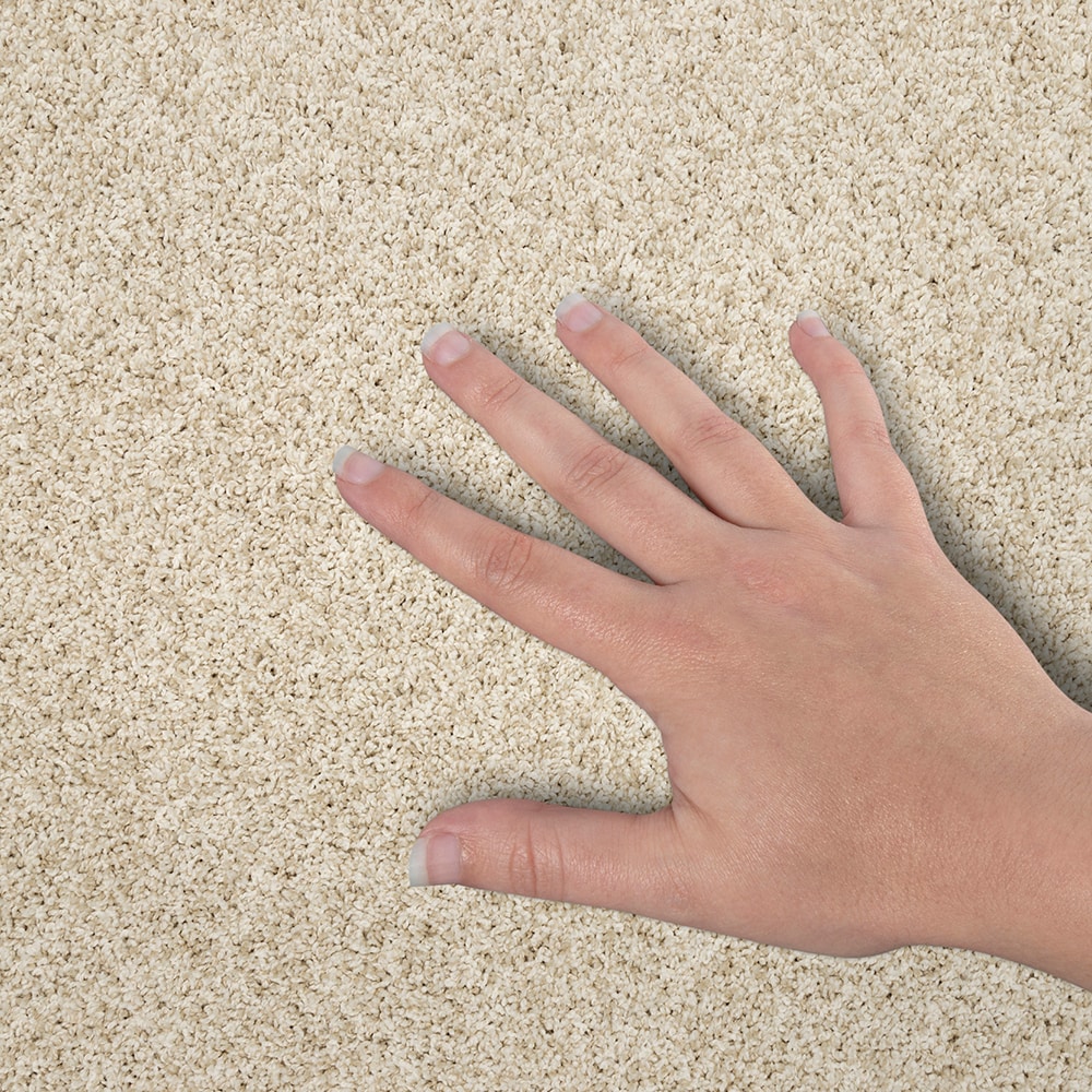 STAINMASTER SS040-L002-S0808 Carpet-Samples - View #4