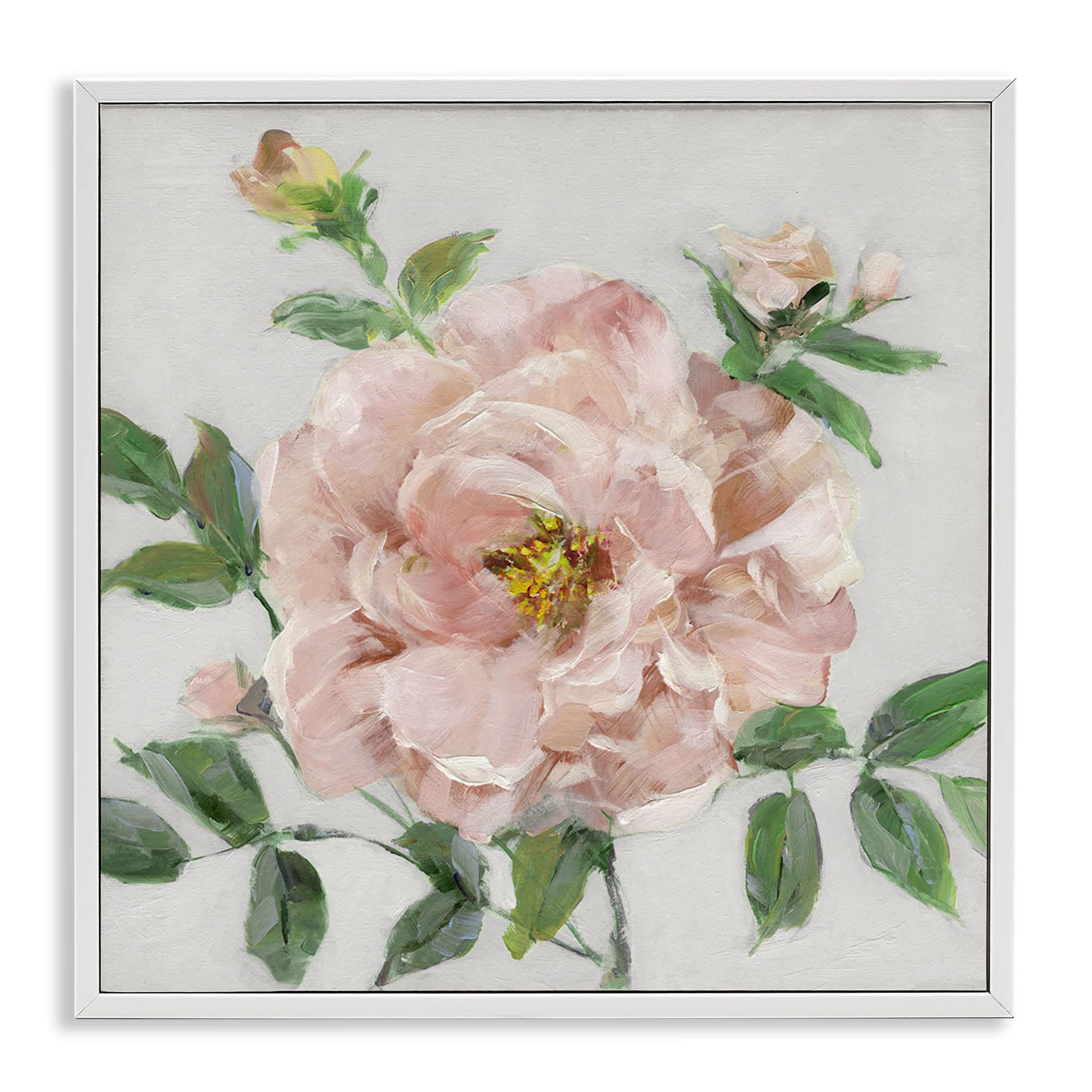 Stupell Industries BS-266-WFR-24X24 Pink Carnation Blossom White Framed Giclee Art By Sally Swatland 24 x 24