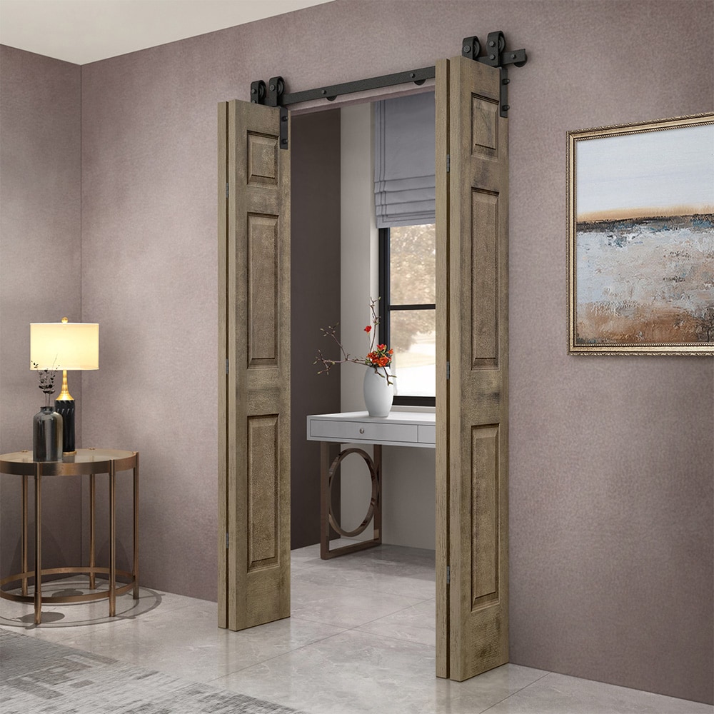 CALHOME 1602-4S+6P30-DWSR(2 Barn-Doors - View #2