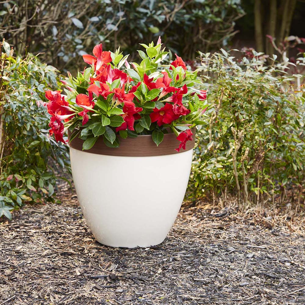 Southern Patio HDR-077091A Planter-Window-Box - View #6