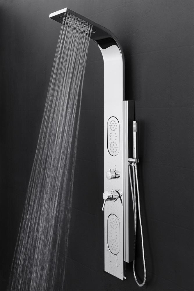 AKDY 58-in Stainless Steel 2-Spray Shower Panel System (Valve Included)