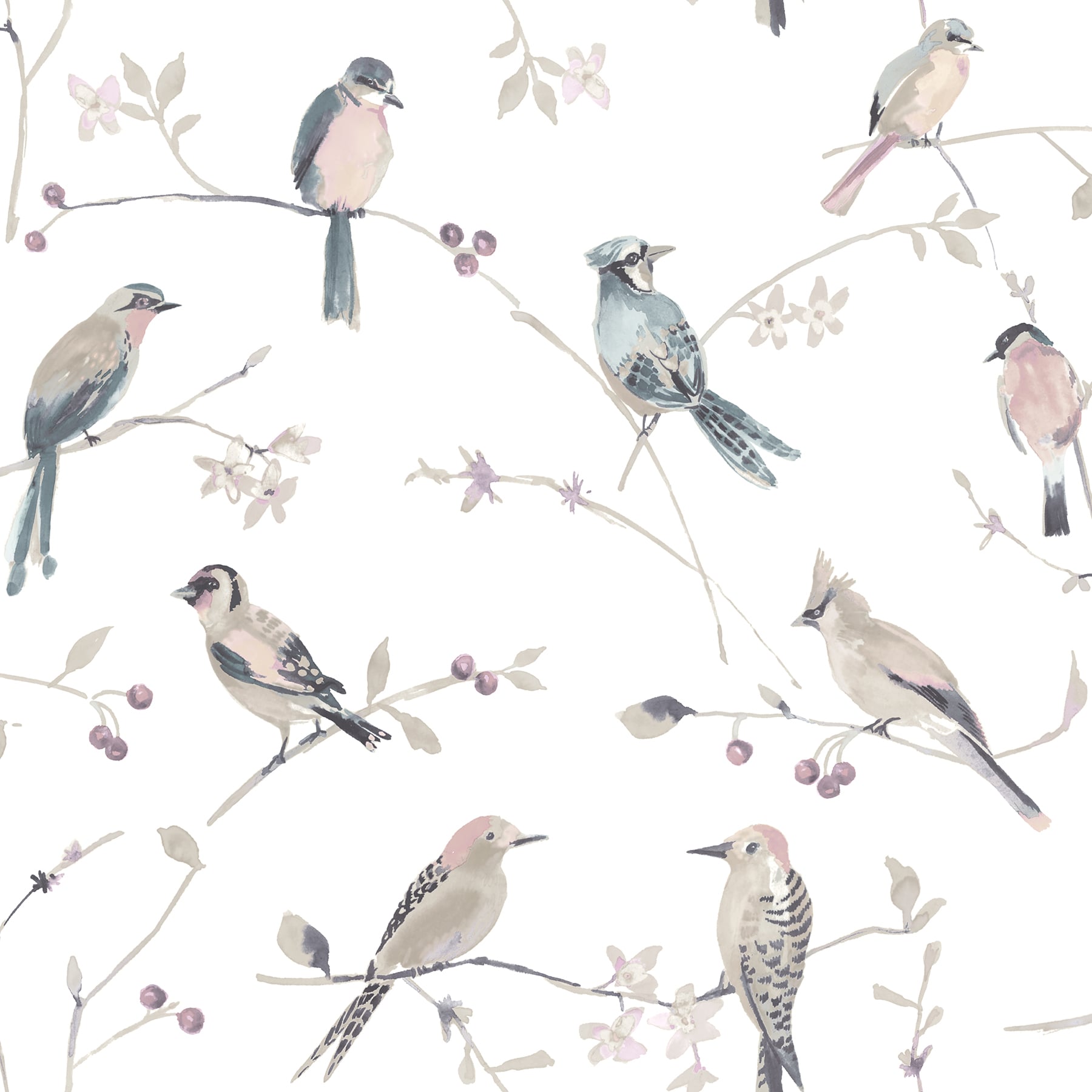 Chesapeake 3124-13854 Thoreau 56.4-Sq. Feet Pink Non-woven Birds Prepasted Water Activated Paste Wallpaper