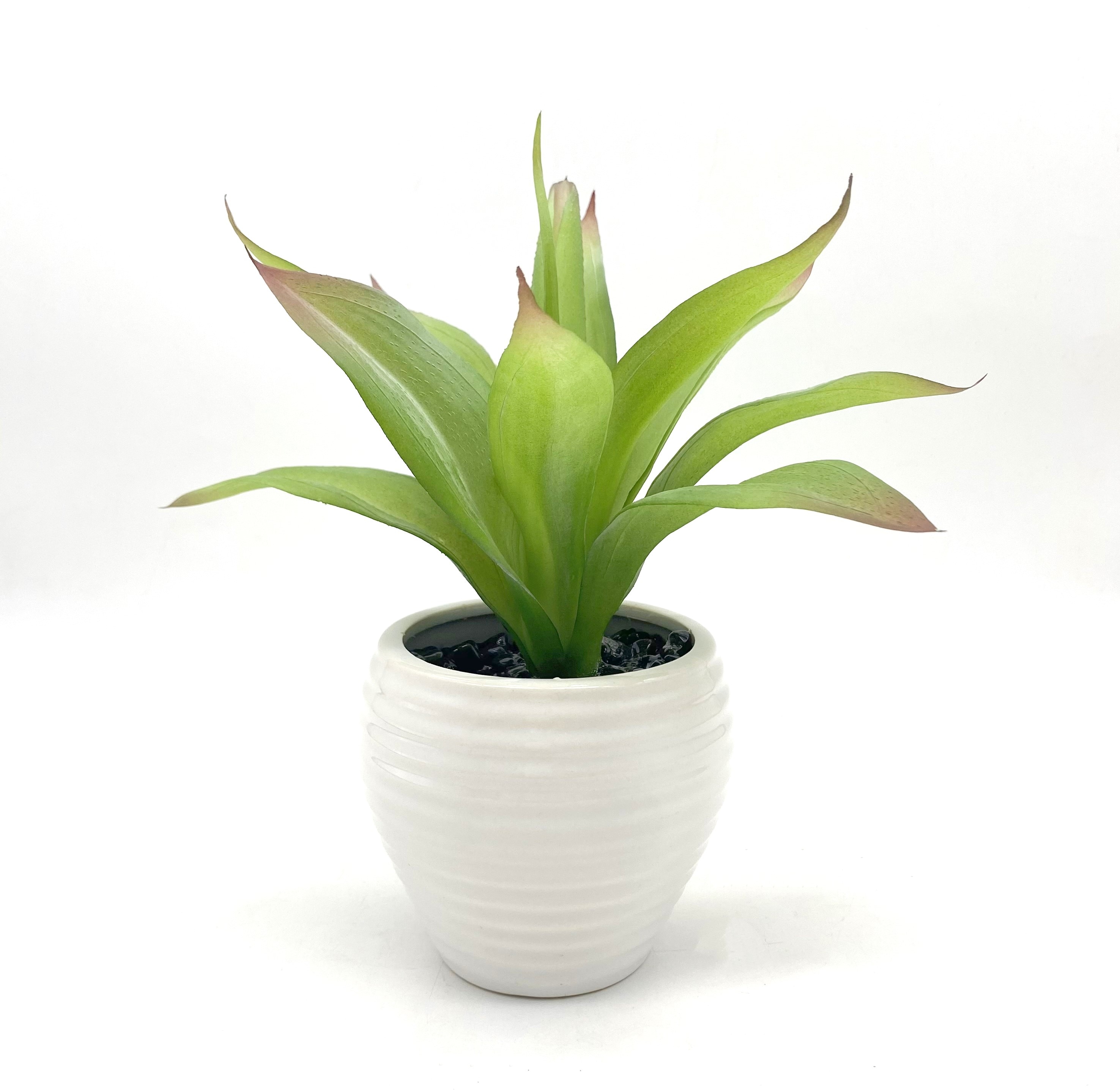 Nearly Natural P1936-LW 9-in Green Indoor Desktop Agave Artificial plant