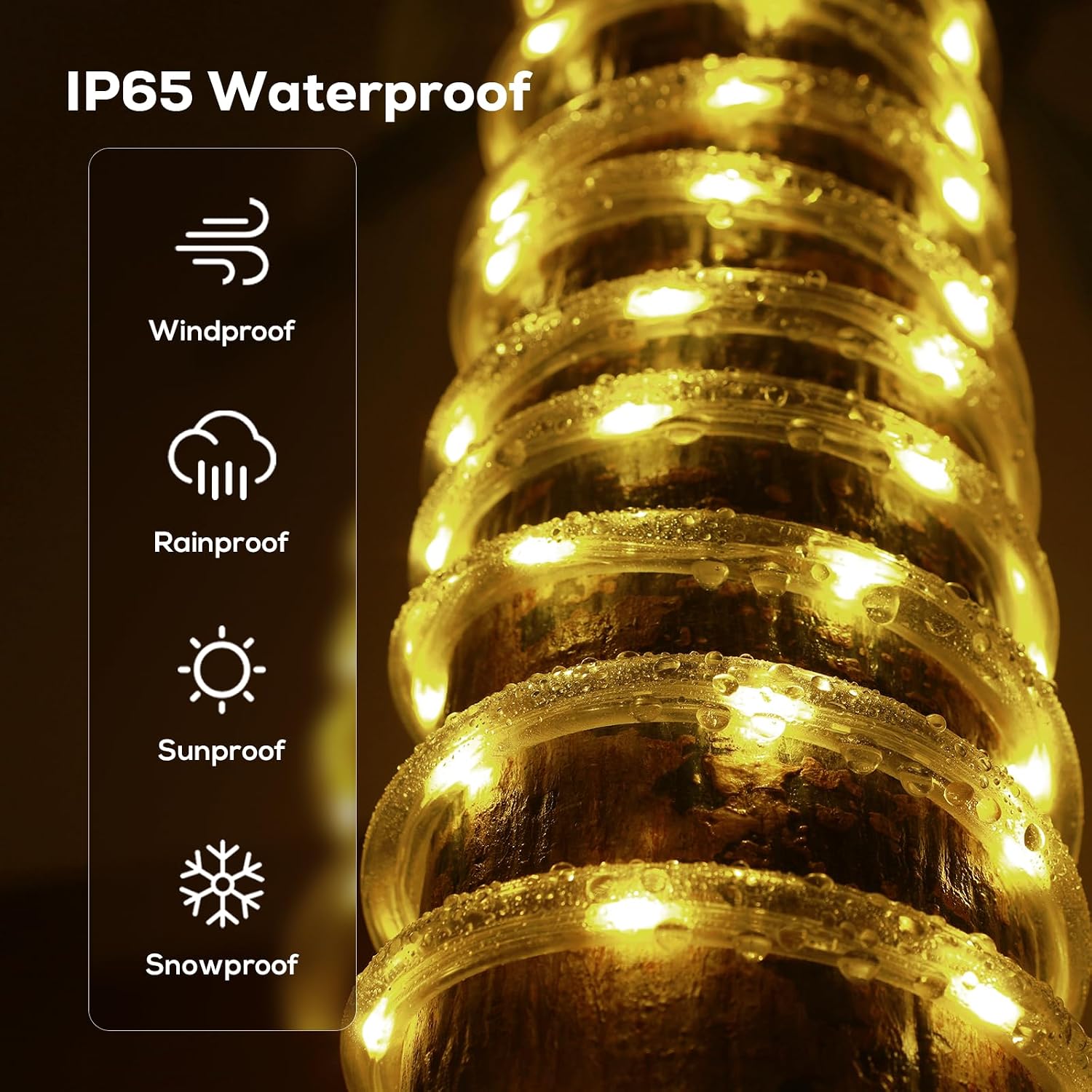 Segrass SGMY1-B0DRTTWBJY Rope-Lights - View #3