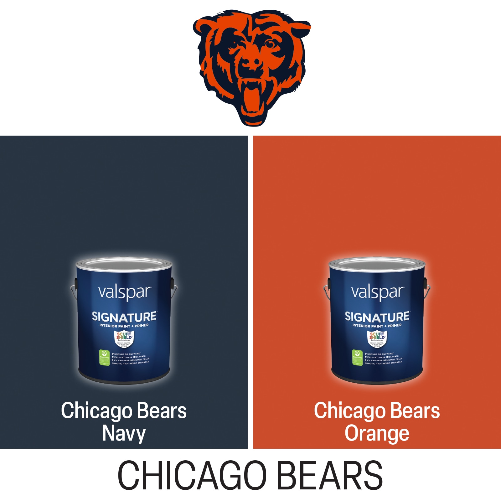 Acrylic Paint Set inspired by the NFL Chicago Bears Team &