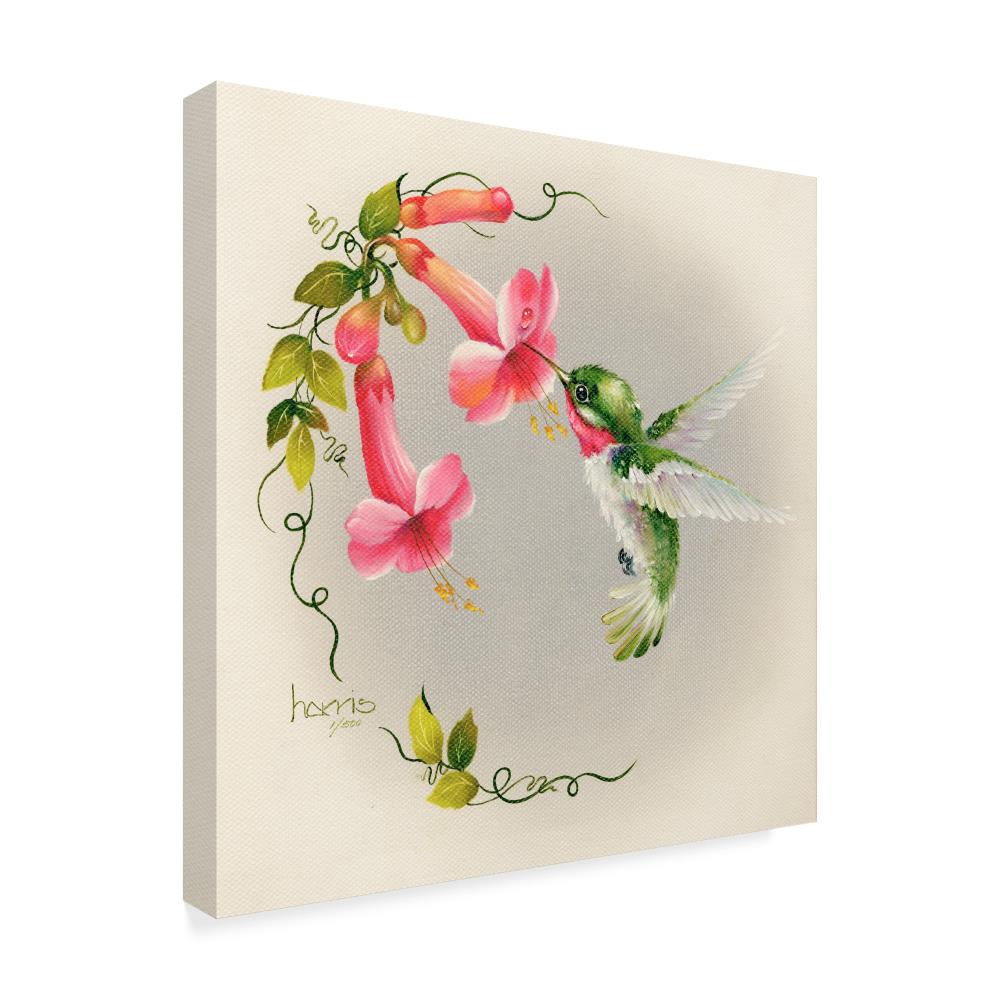 Trademark Fine Art ALI42297-C3535GG Wall-Art - View #2