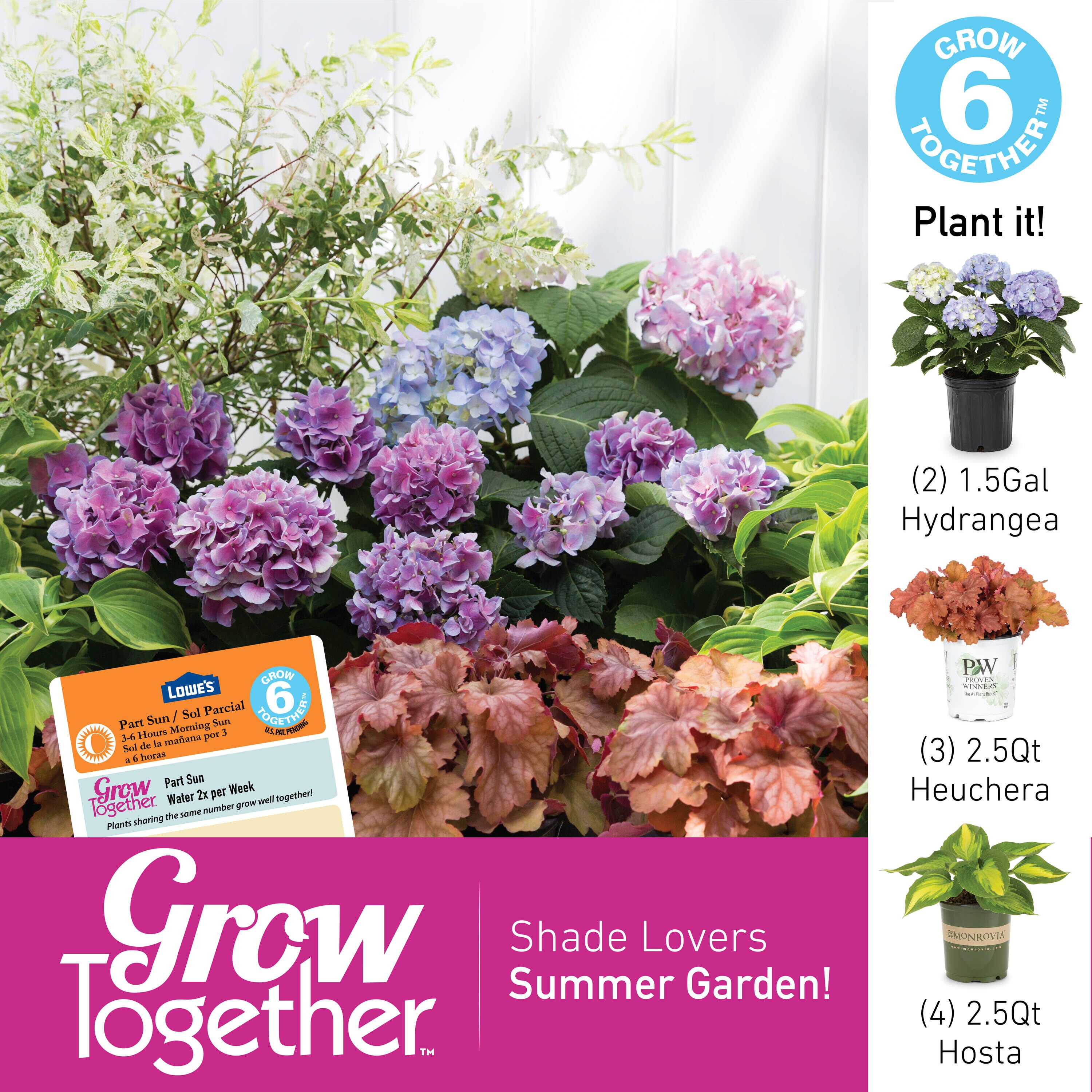 Lowe's 379521 shrubs - View #5