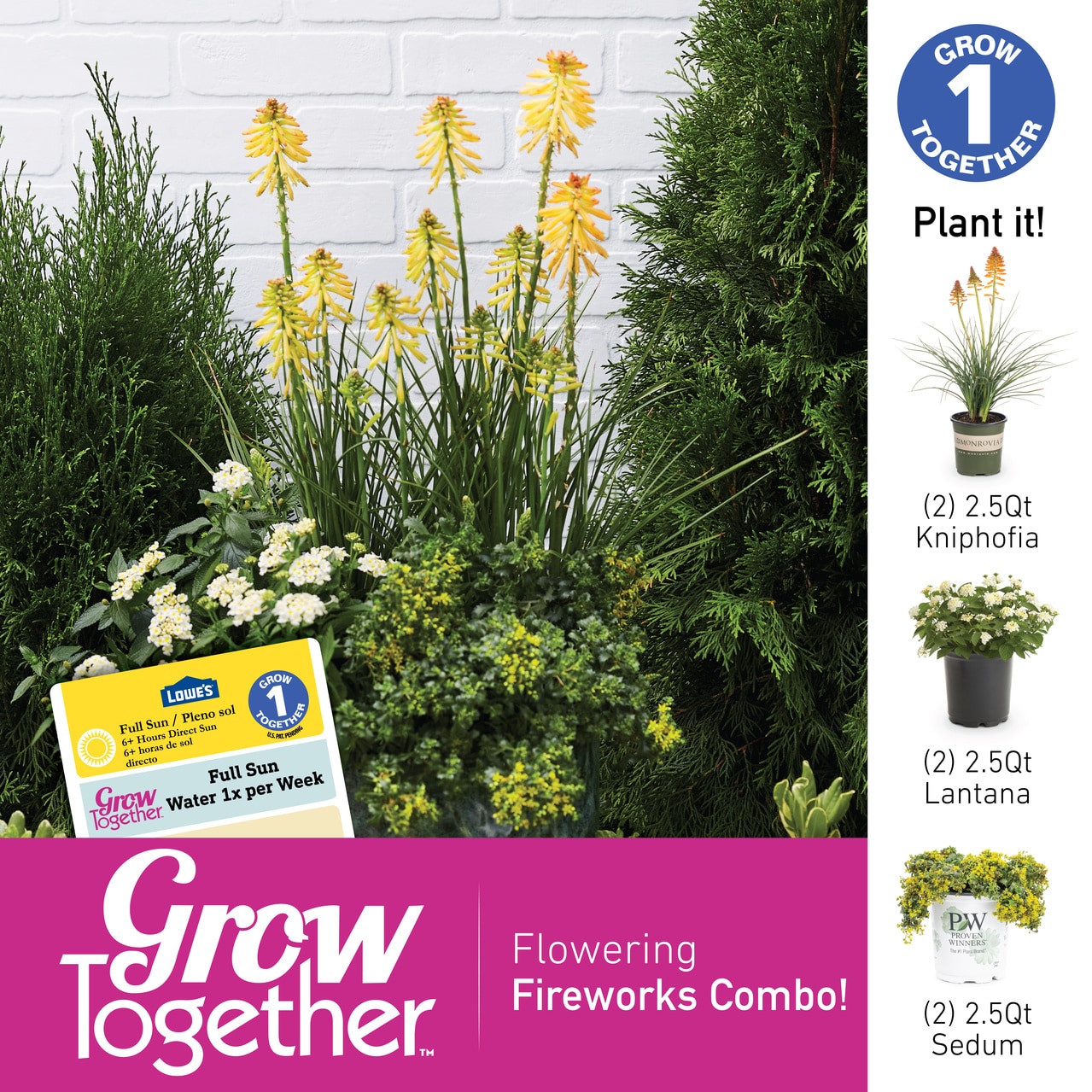 Metrolina Greenhouses 5177 annuals - View #3