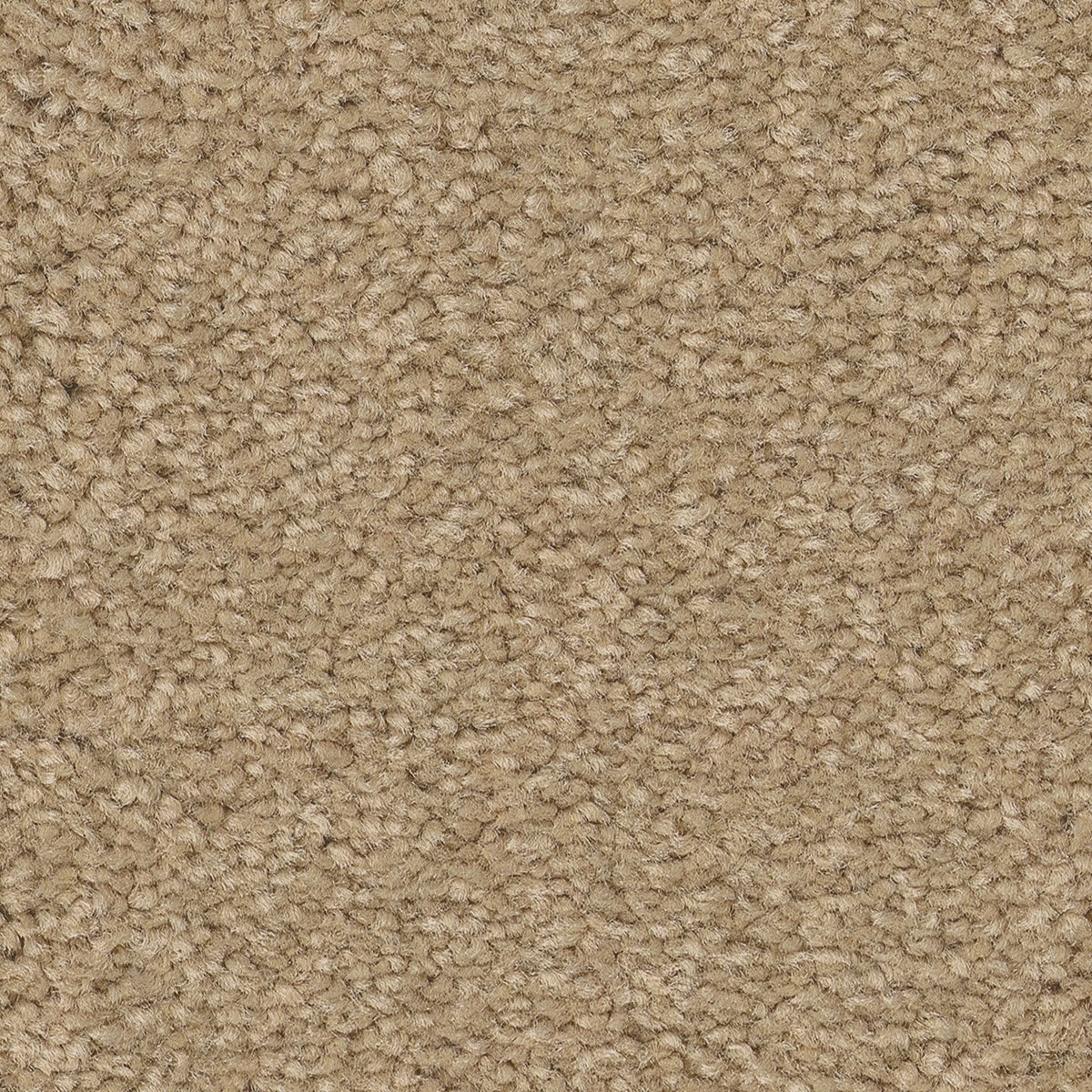 STAINMASTER PetProtect 7L883 - 110 - SAMP (Sample) Best of Breed III Rattan Brown 68.2-oz sq yard Nylon Textured Indoor Carpet