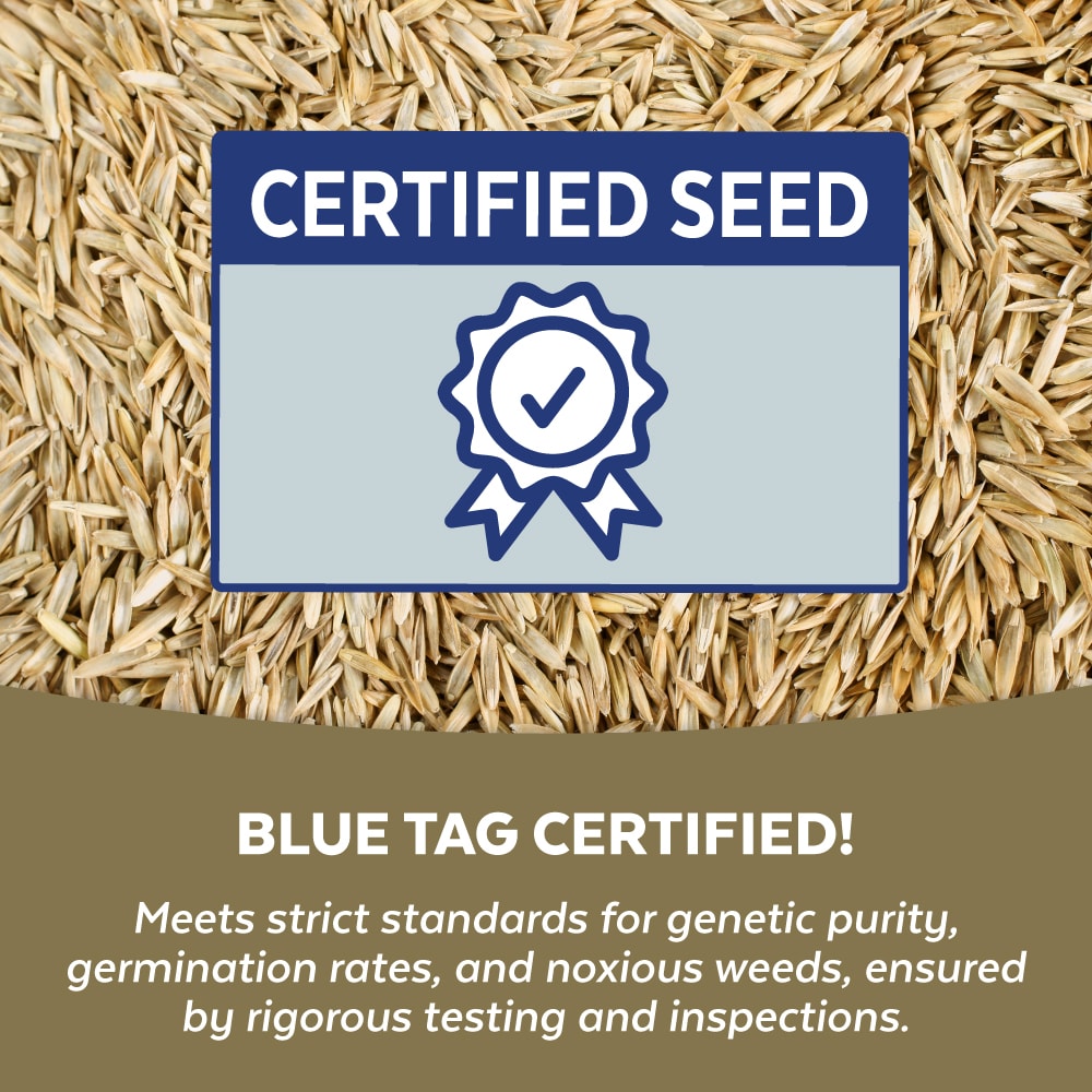 Mountain View Seeds 115565 Grass-Seed - View #6