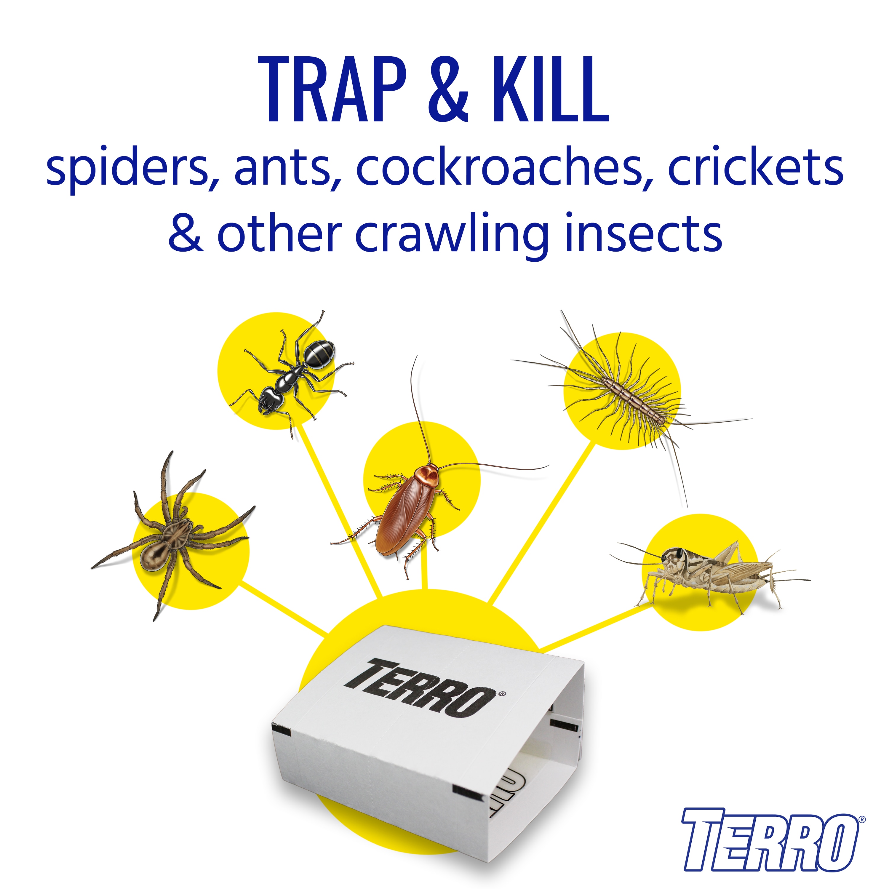 TERRO T3206 repellents - View #2