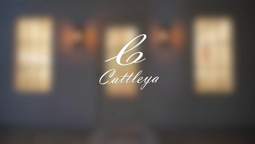 A thumbnail for the video