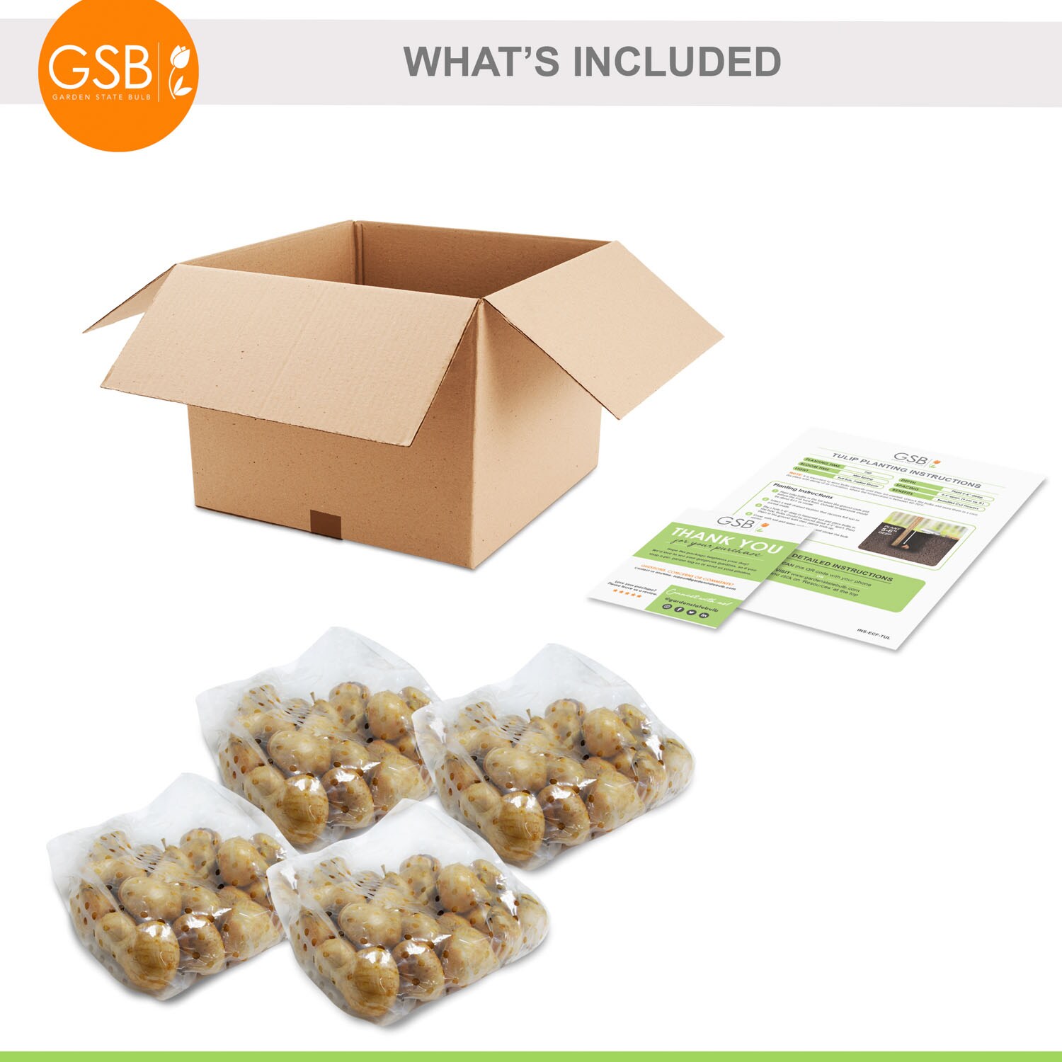 Garden State Bulb ECF-79-100-04 Plant-Bulbs - View #7