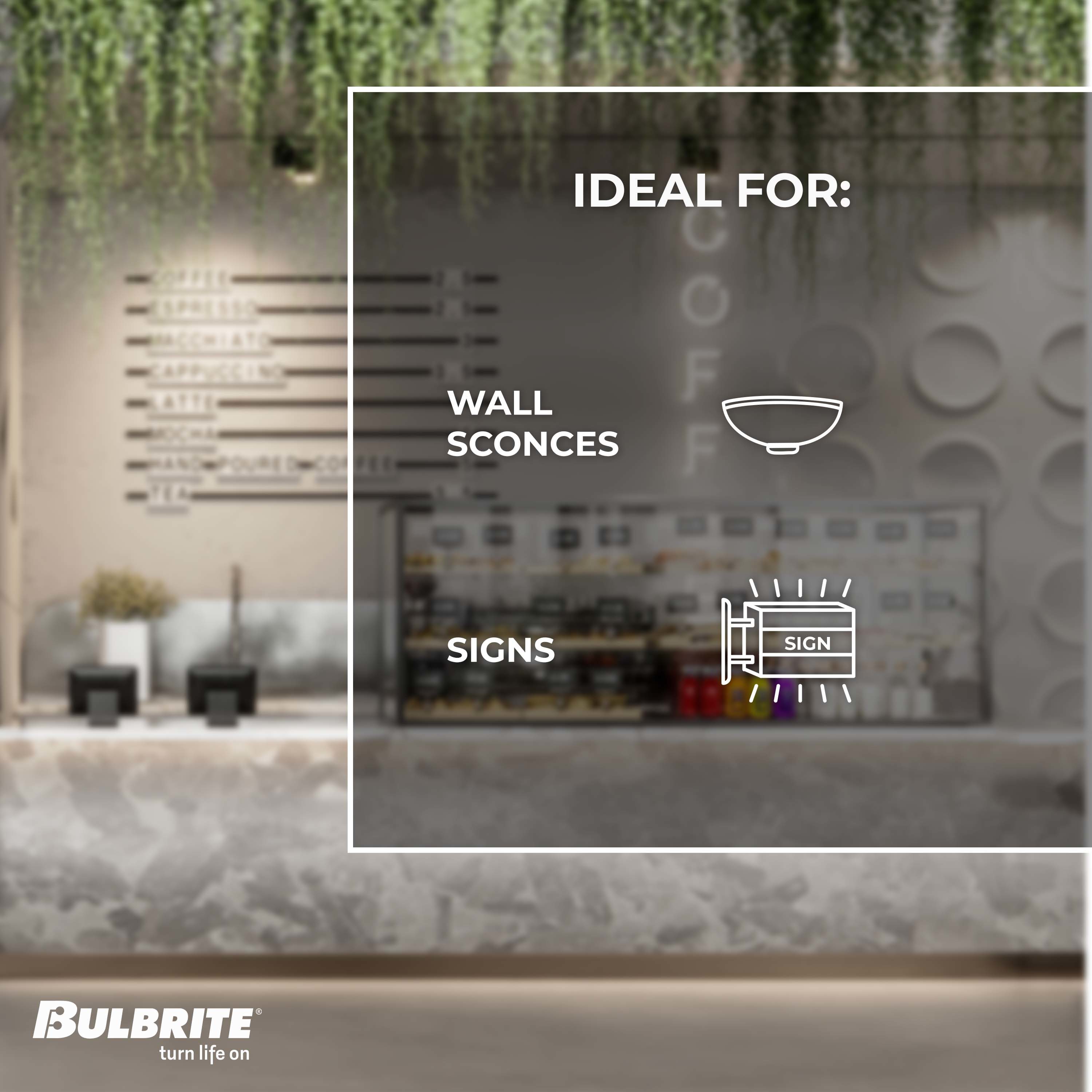 Bulbrite 861224 Dec-Led-Light-Bulbs - View #5