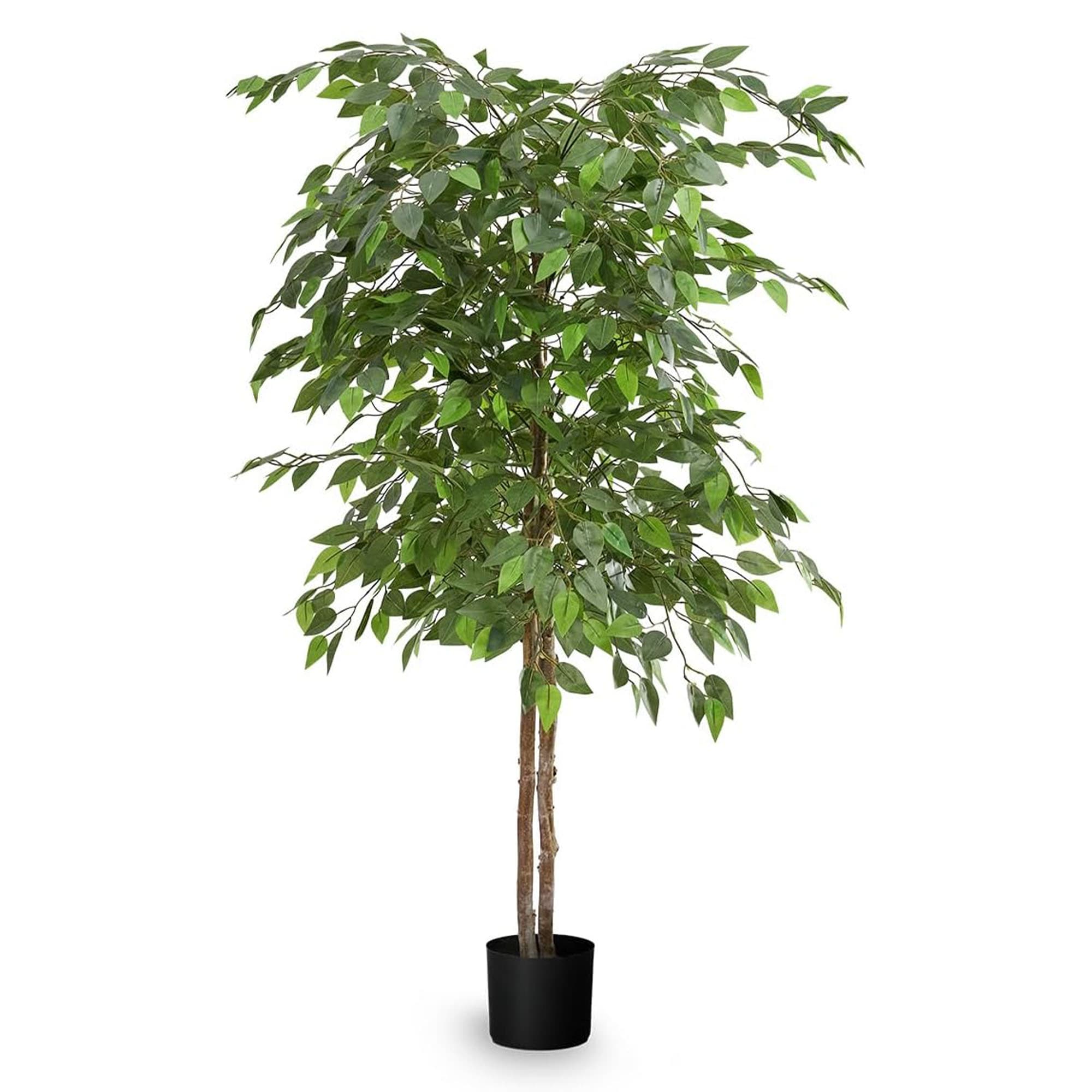 MAIA SHOP 401567 60-in Color Indoor Desktop Ficus Artificial tree