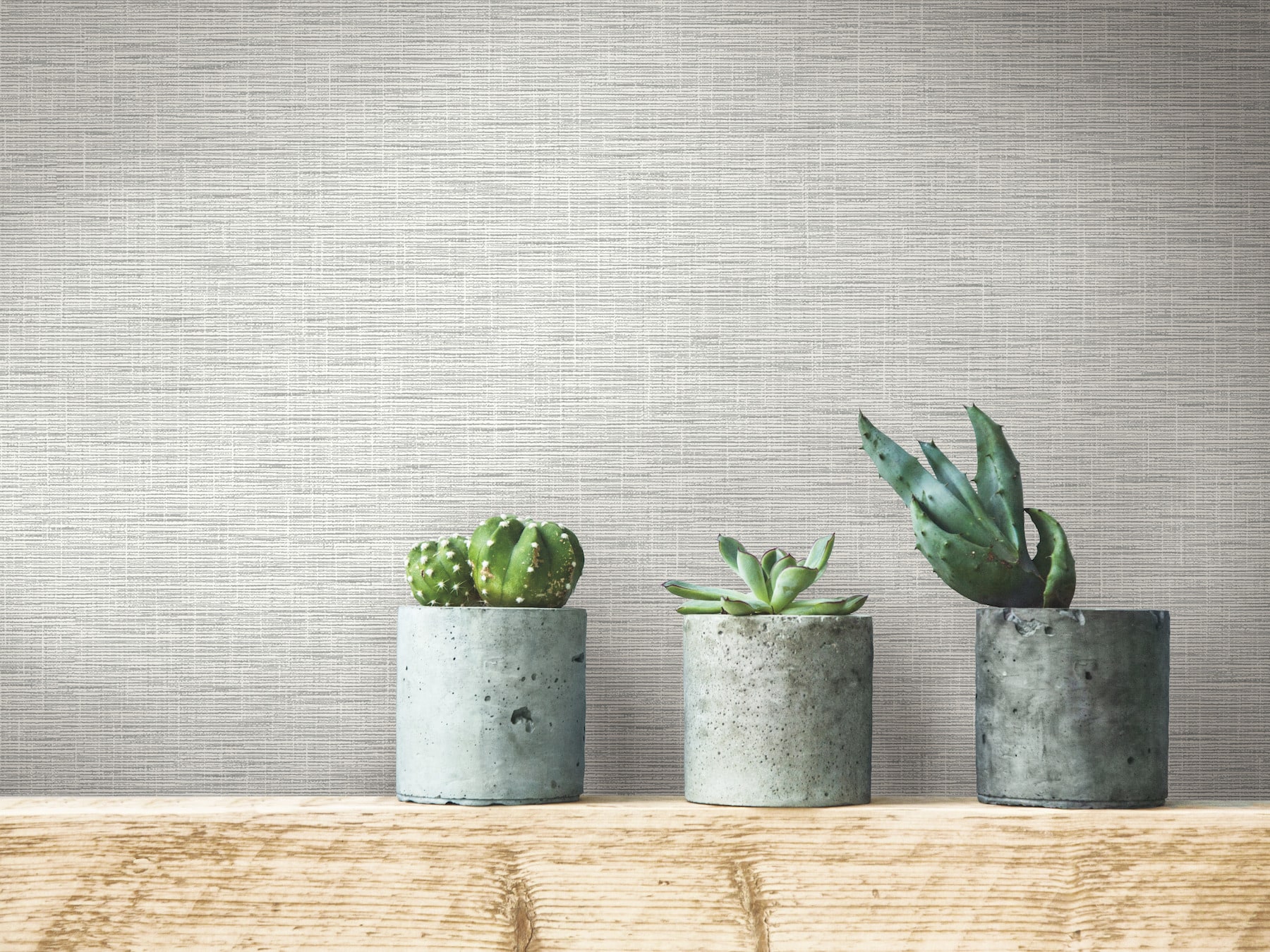 York Wallcoverings FH4060 wallpaper - View #2