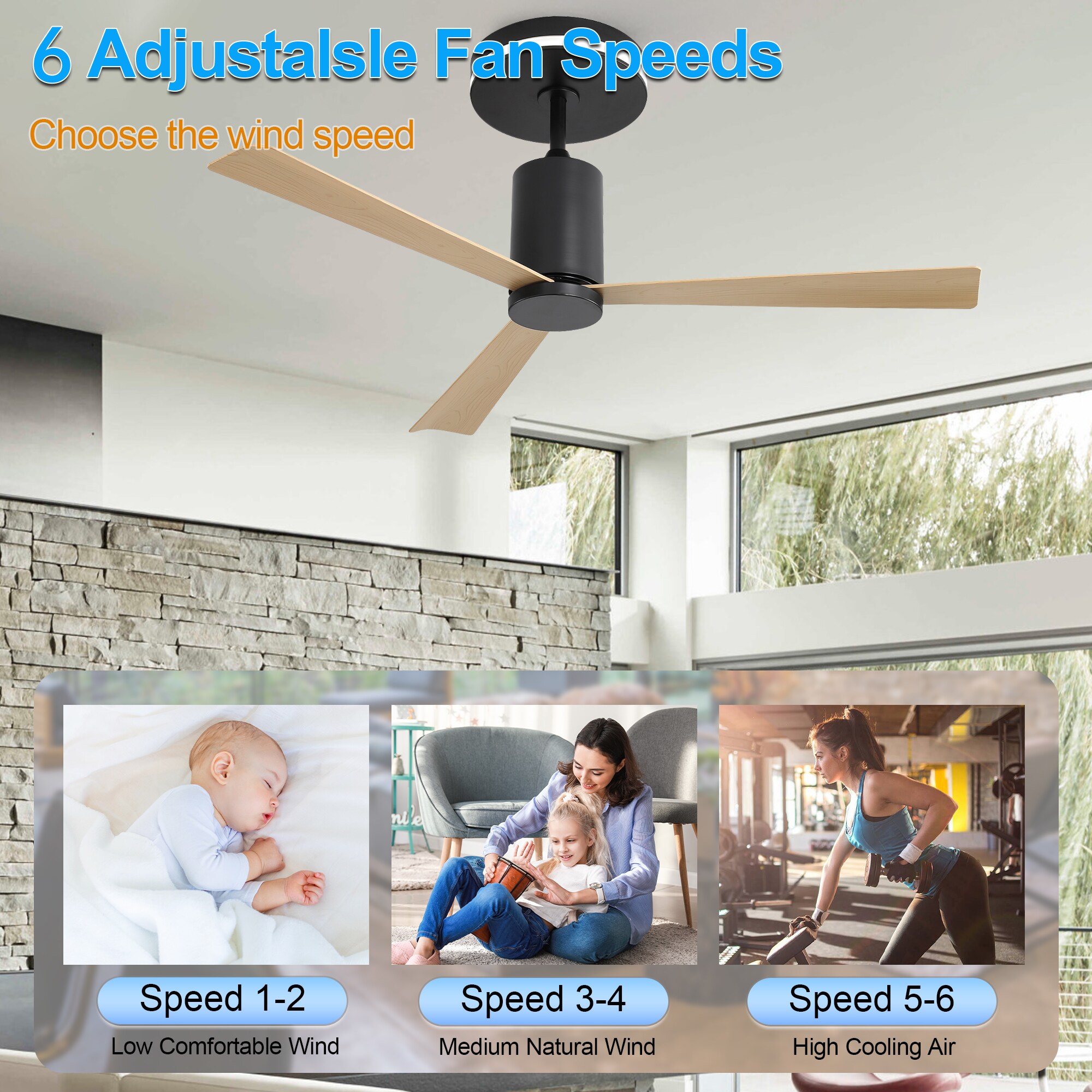  52LSP208511BK Ceiling-Fans - View #11
