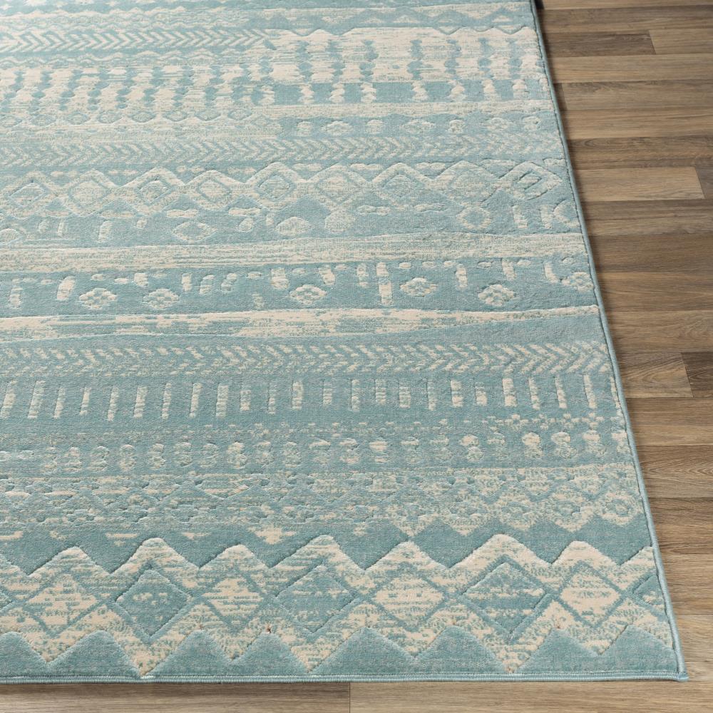 Surya CIT2363-5373 rugs - View #3