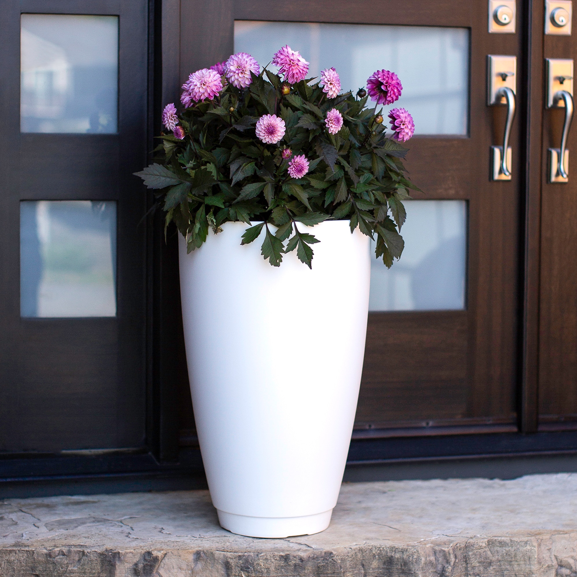Mayne 5906-W Planter-Window-Box - View #4