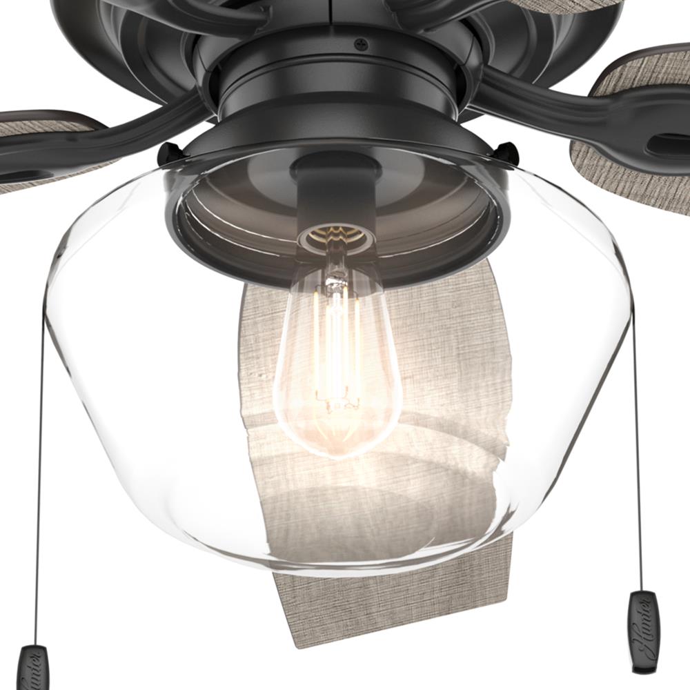 hunter clear globe ceiling fan