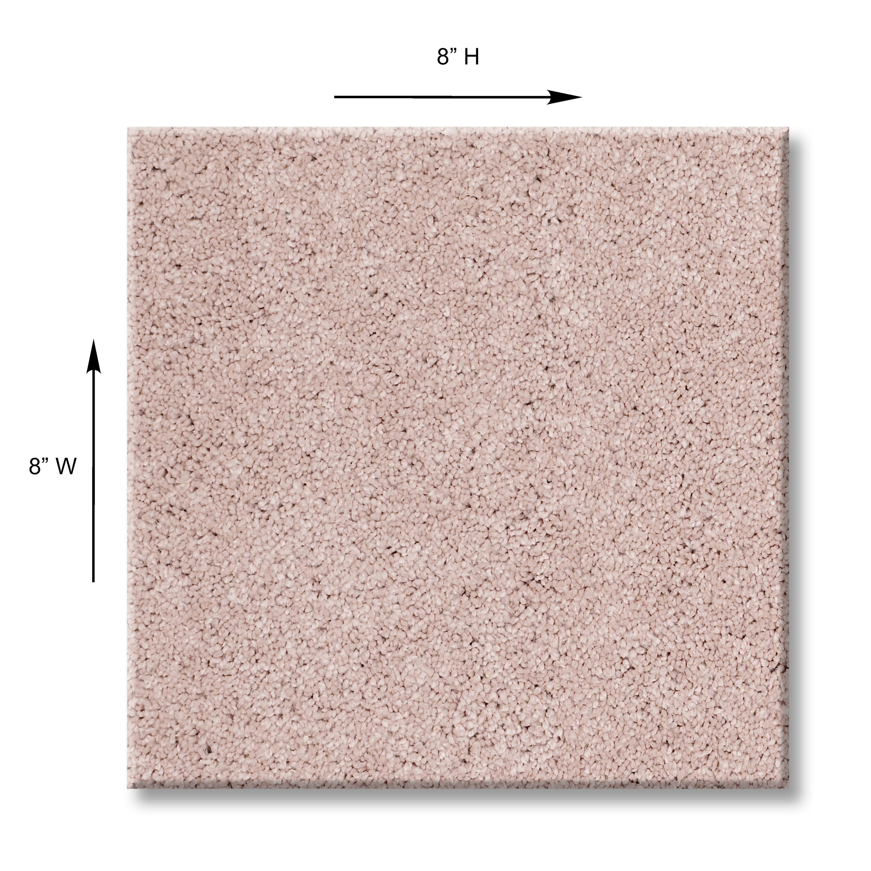 STAINMASTER 7L790-820-SAMP Carpet-Samples - View #5