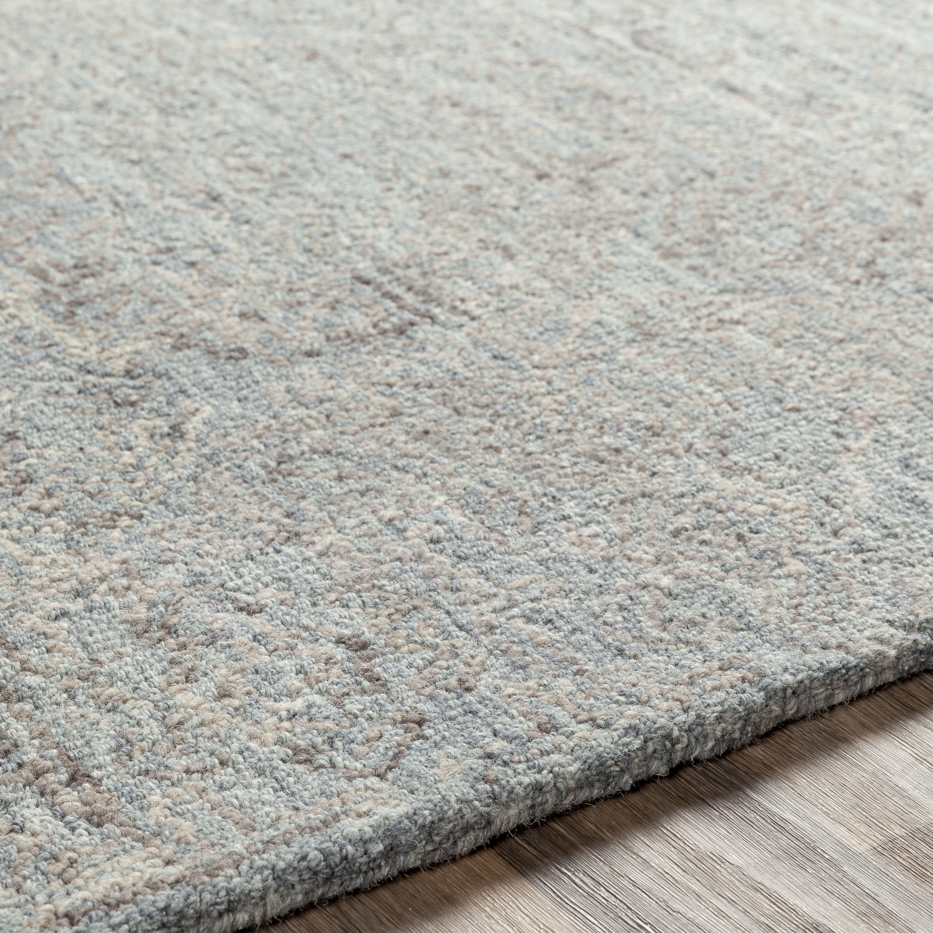 Livabliss NCS2310-46 rugs - View #5