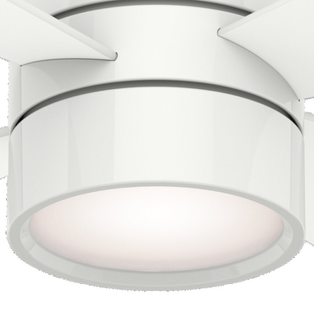 Casablanca 59070 Ceiling-Fans - View #8