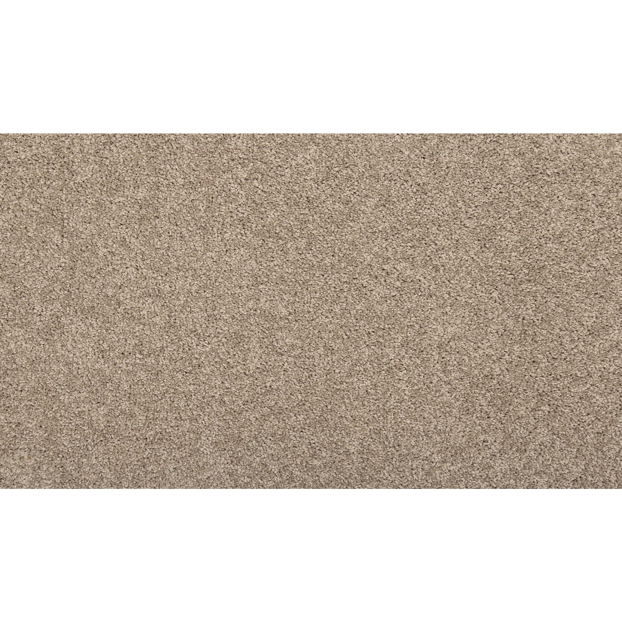 Style Selections SS015-12-L007 Express Install Carolina Coast I Sun Kissed Brown 25-oz sq yard Solution-dyed polyester Textured Indoor Carpet