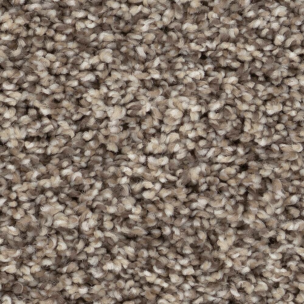 STAINMASTER PetProtect 7L96500122 with LeakDefense Pet Parade I Countryside Brown 43.9-oz sq yard High-performance polyester Textured Indoor Carpet