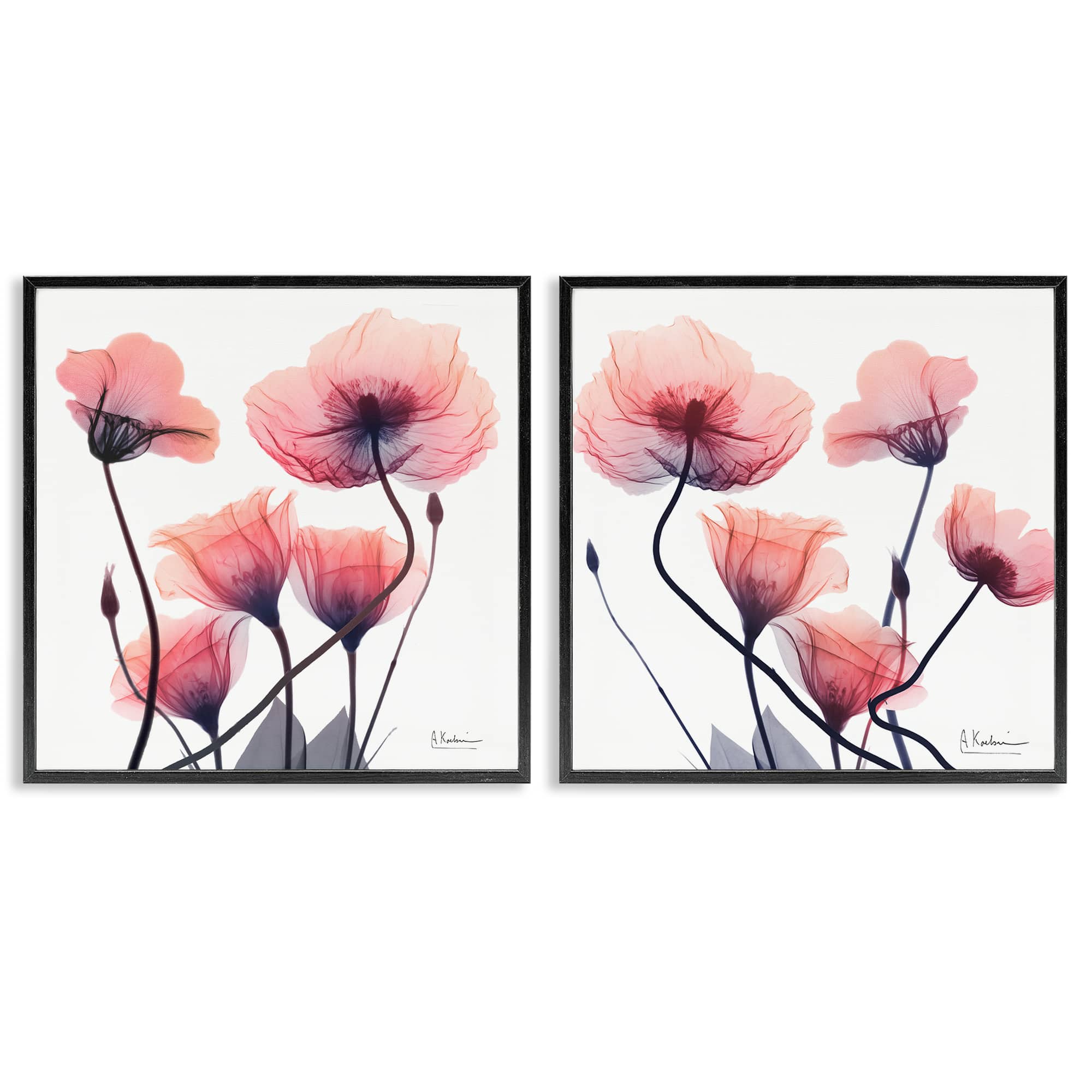 Stupell Industries B2-709-WFR-2PC-24X24 Various Faded Pink Flowers 2pc Framed Giclee Set Design by Albert Koetsier
