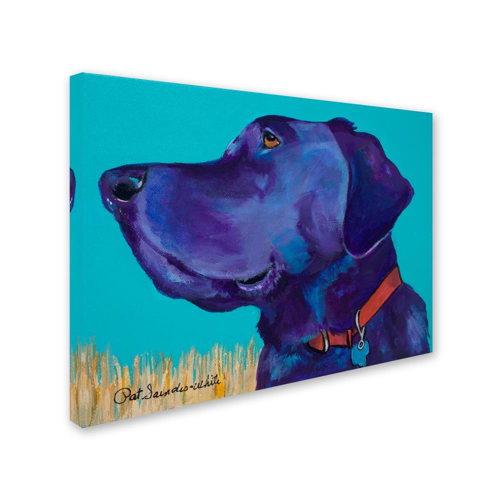 Trademark Fine Art Framed 24-in H x 32-in W Animals Print on Canvas at ...