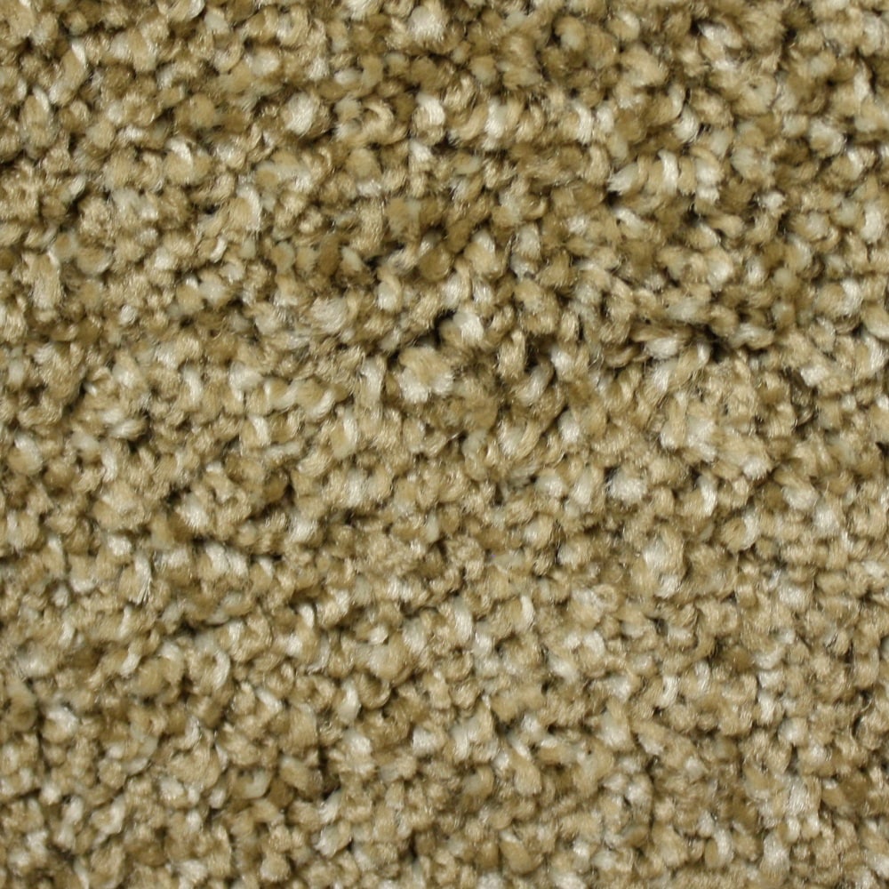 STAINMASTER FB049-309-1200-AB Dolomite Mixed Stone Brown 49.0-oz sq yard Polyester Textured Indoor Carpet