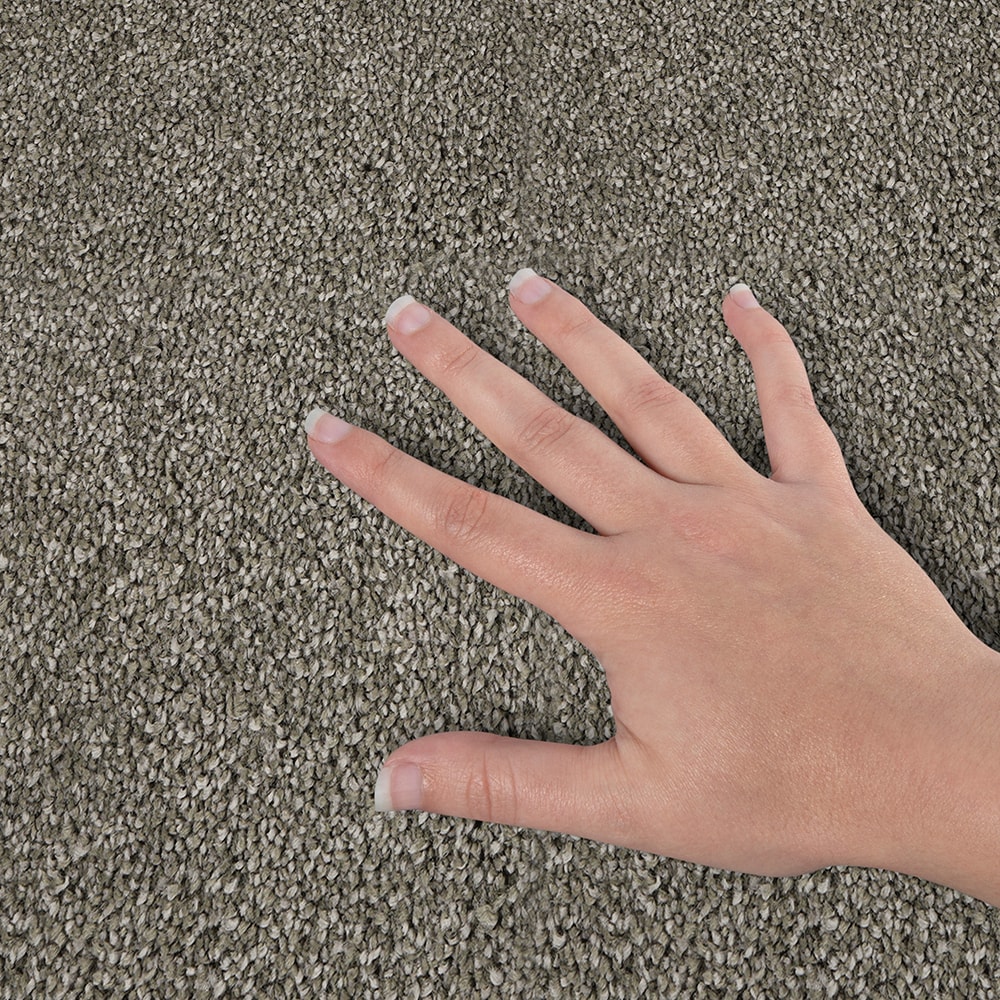 STAINMASTER STP58-L005-0808 Carpet-Samples - View #4
