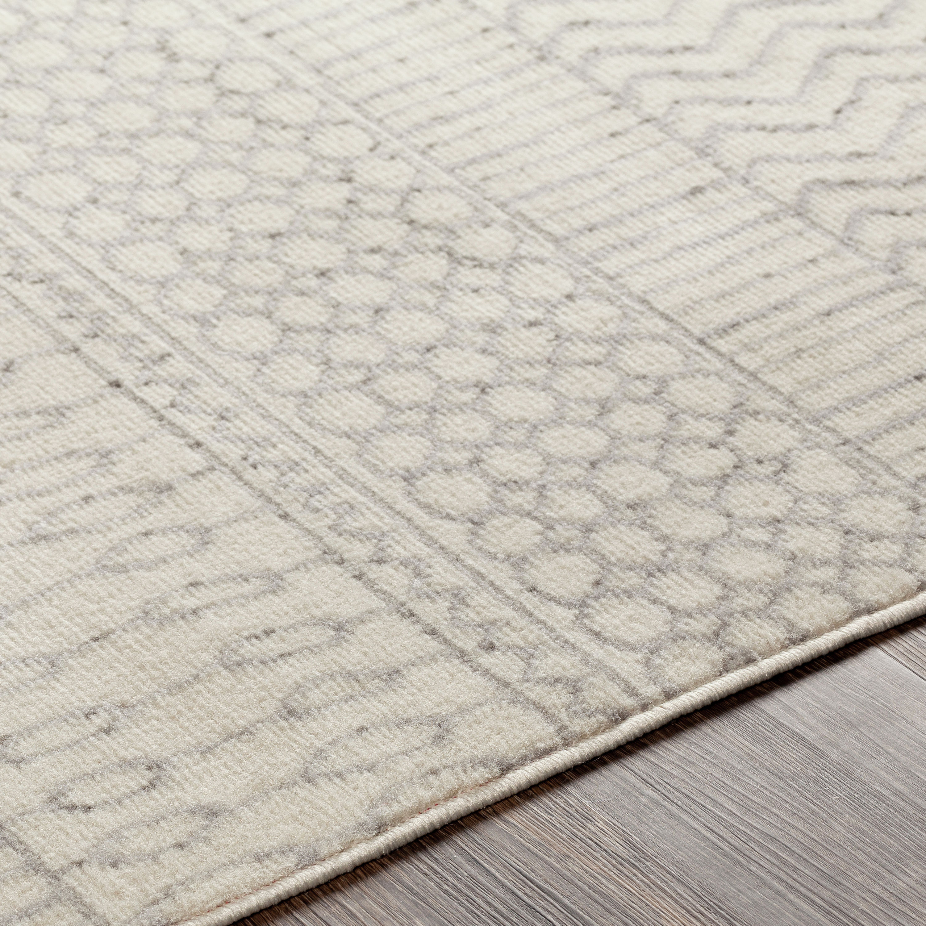 Livabliss PSS2301-679 rugs - View #5