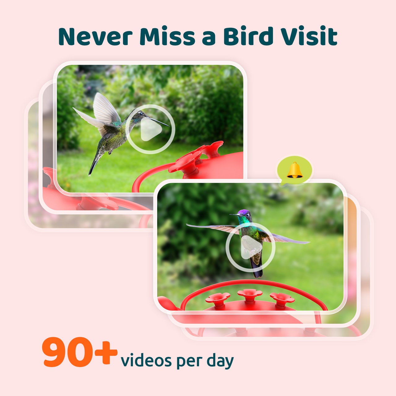 Birdfy NI-8501 Bird-Feeders - View #4
