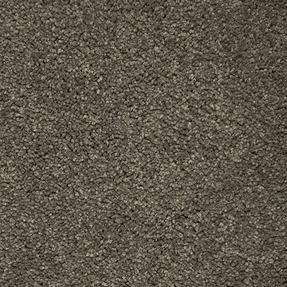 STAINMASTER PetProtect STP55-12-L019 Purrfectly Pampered Viking Grey Gray 60-oz sq yard Triexta Textured Indoor Carpet